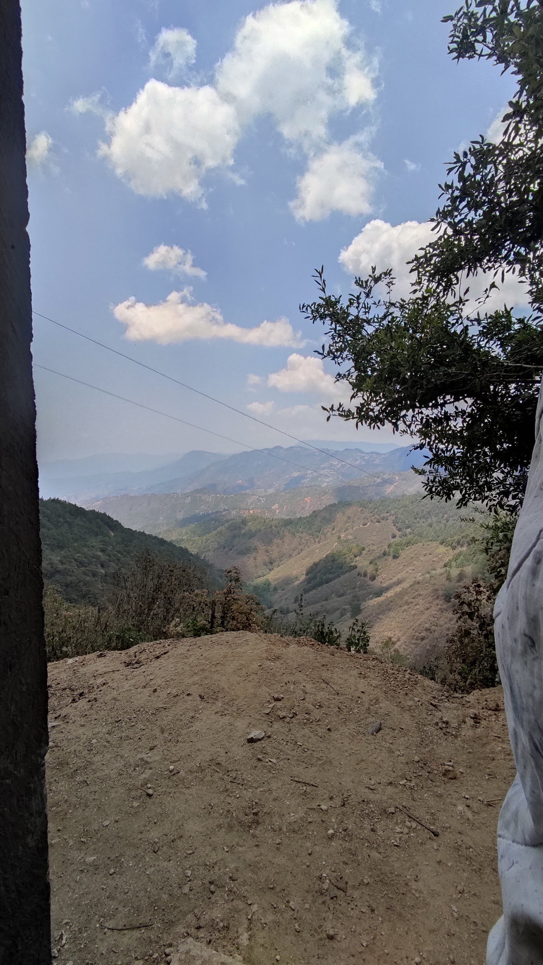 El Molcajete image 8