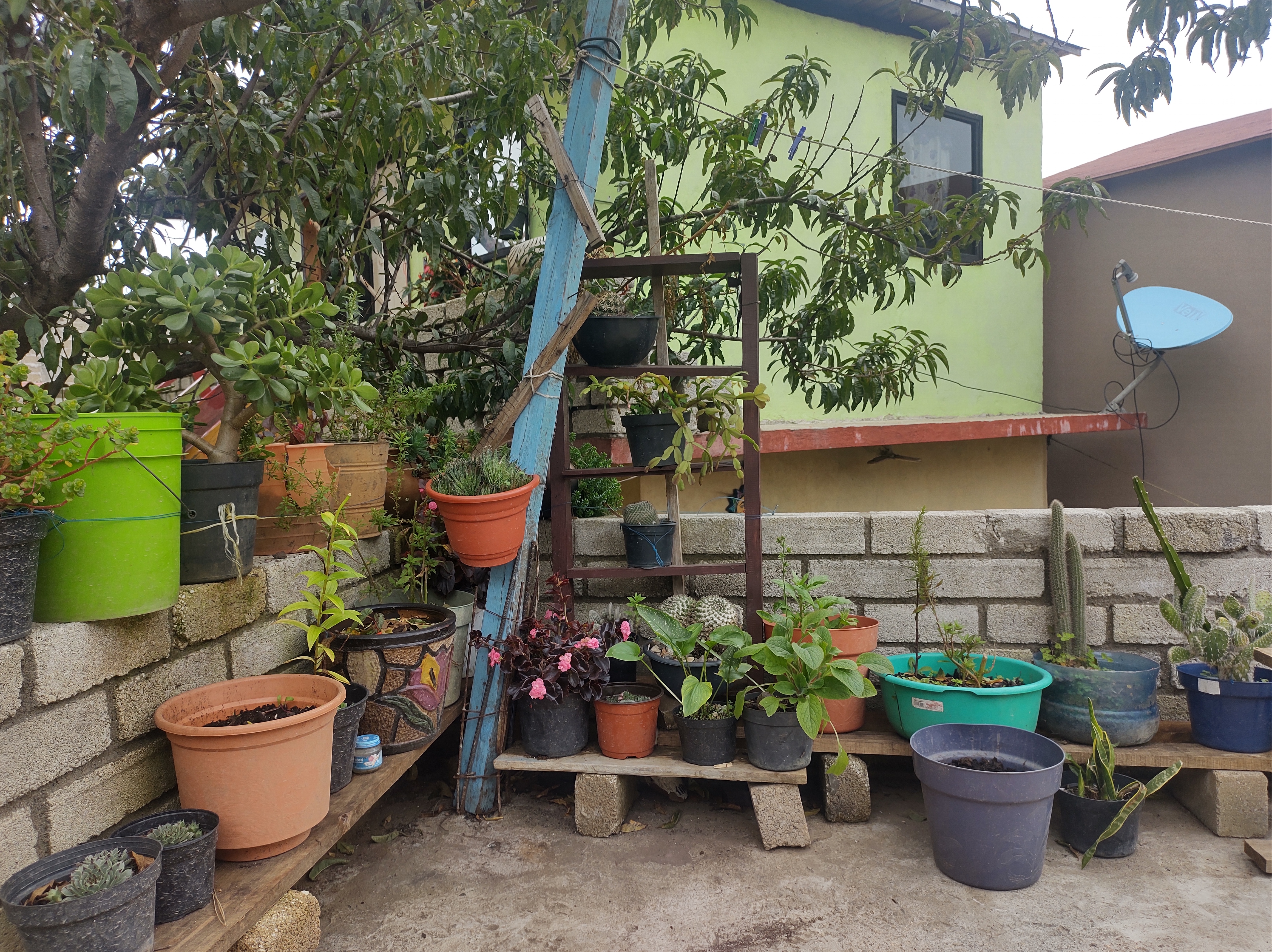 Comedor Jessy image 2