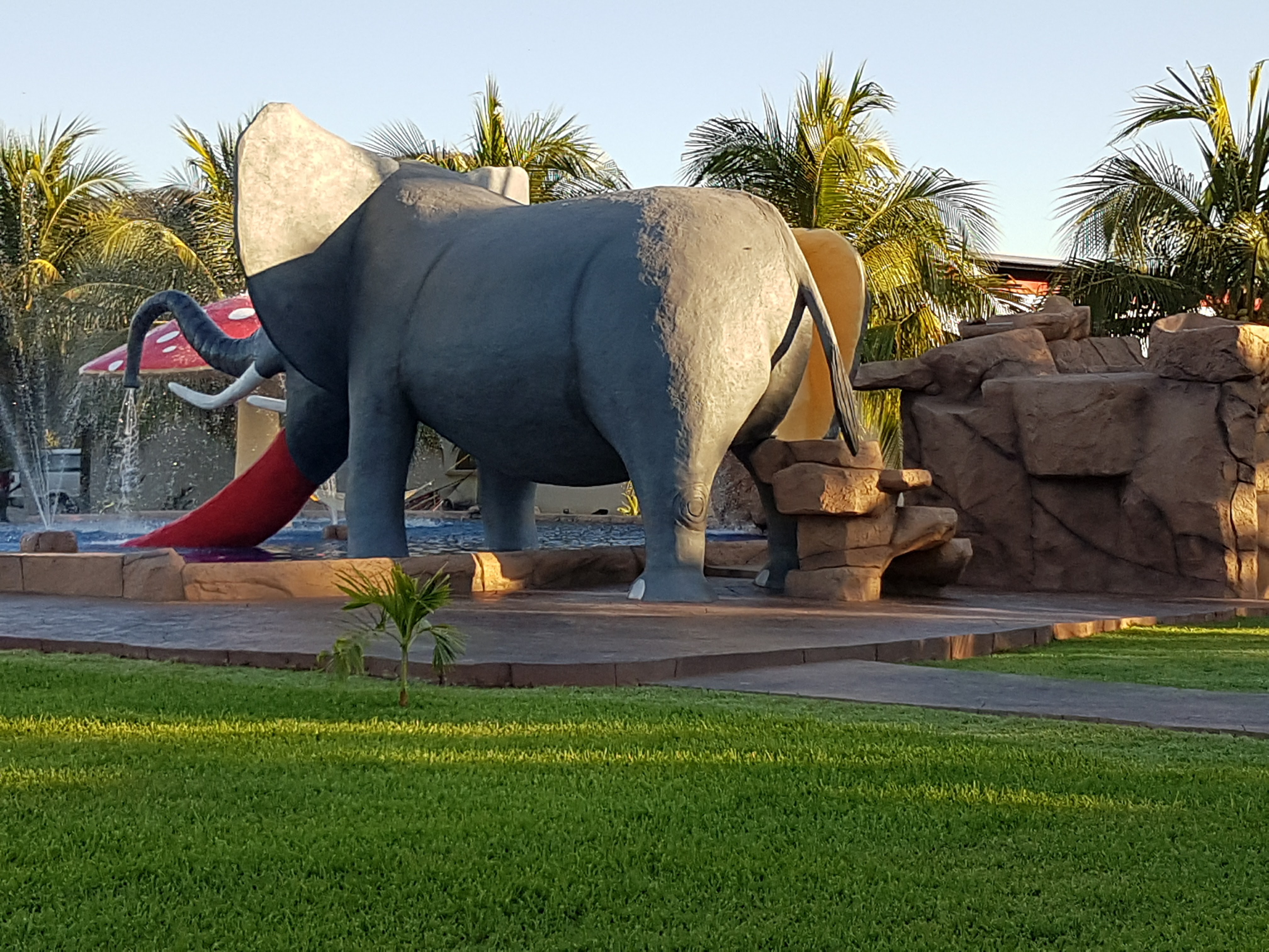 Mariscos "El Primo" image 5