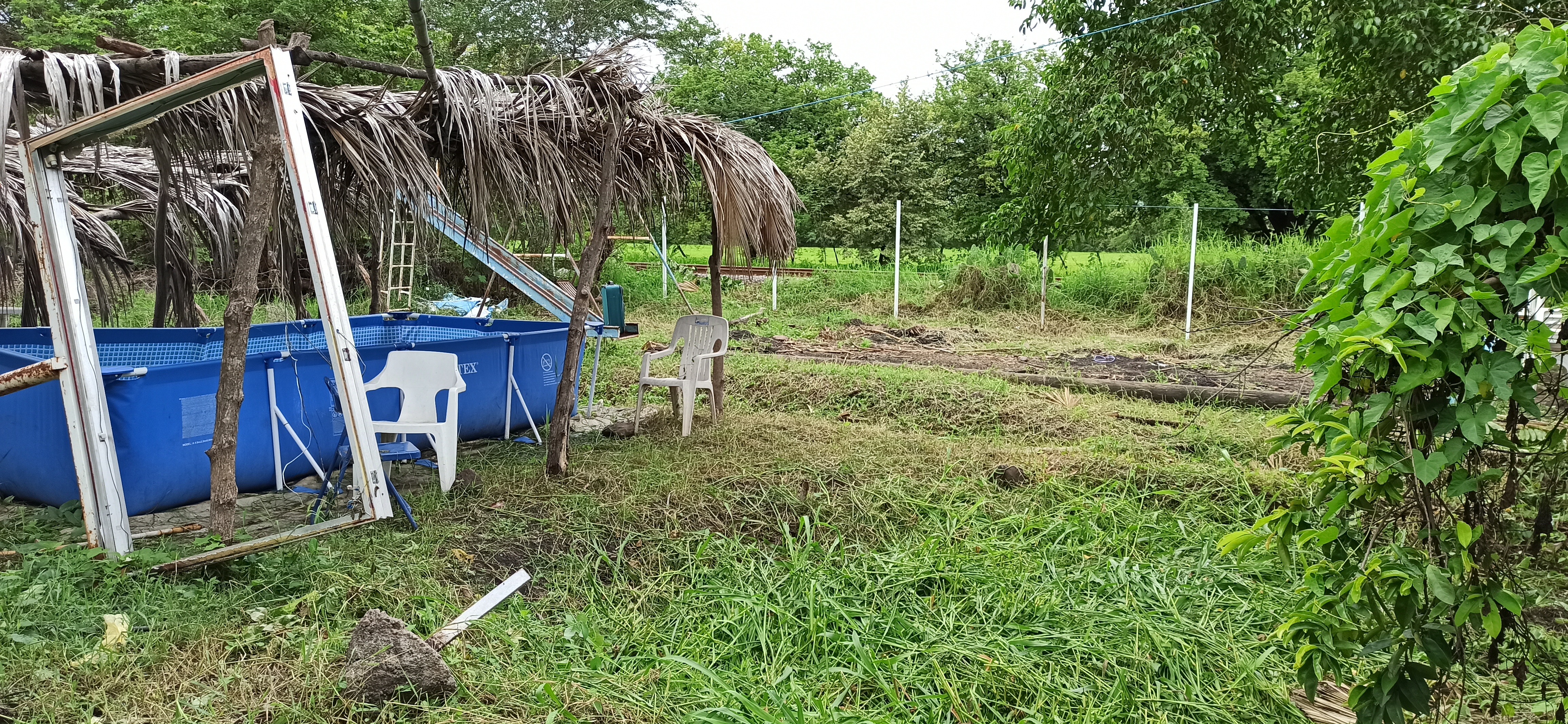 Mariscos "El Primo" image 9