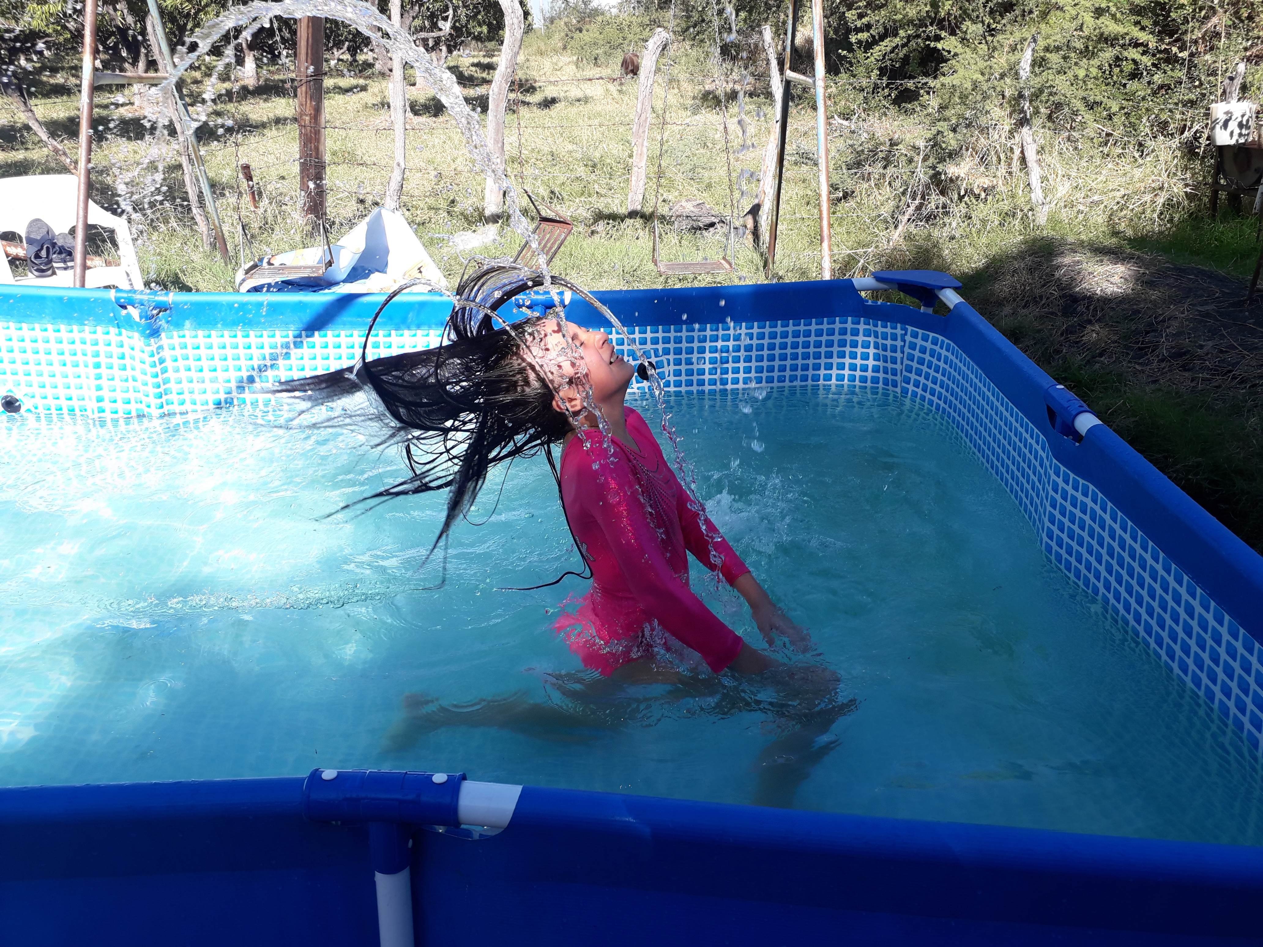 Mariscos "El Primo" image 10