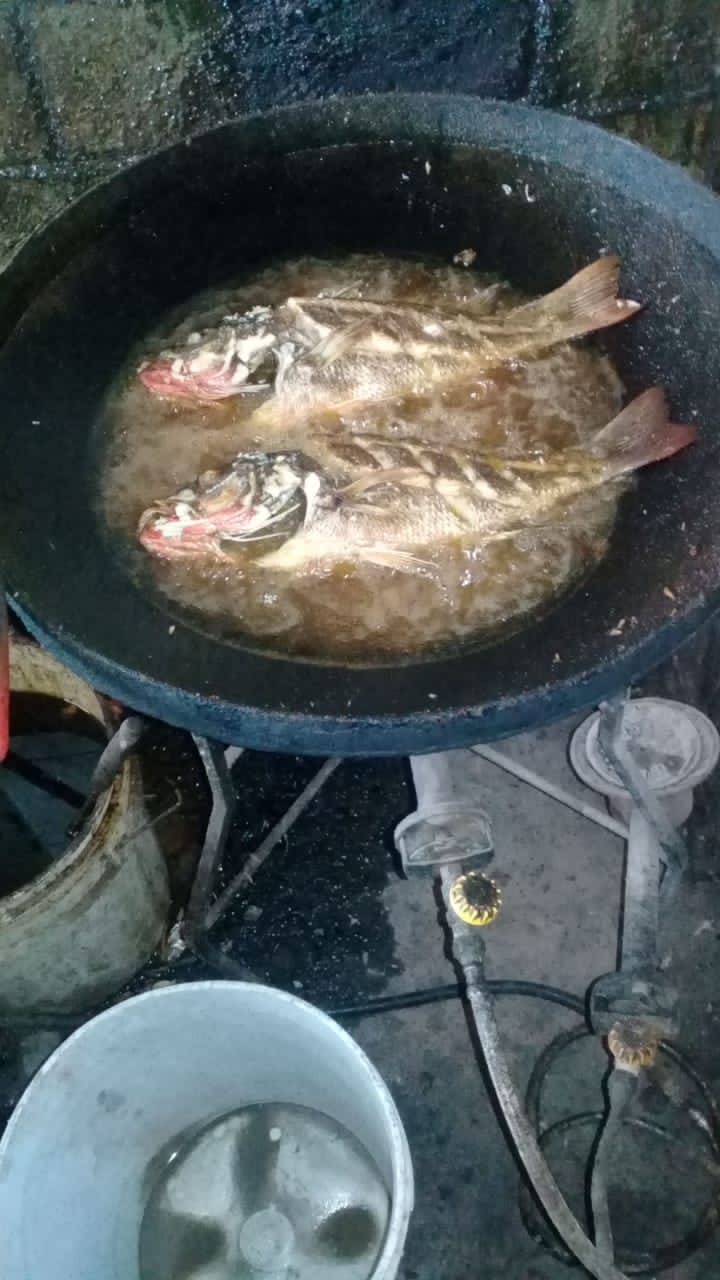 Mariscos Games image 4