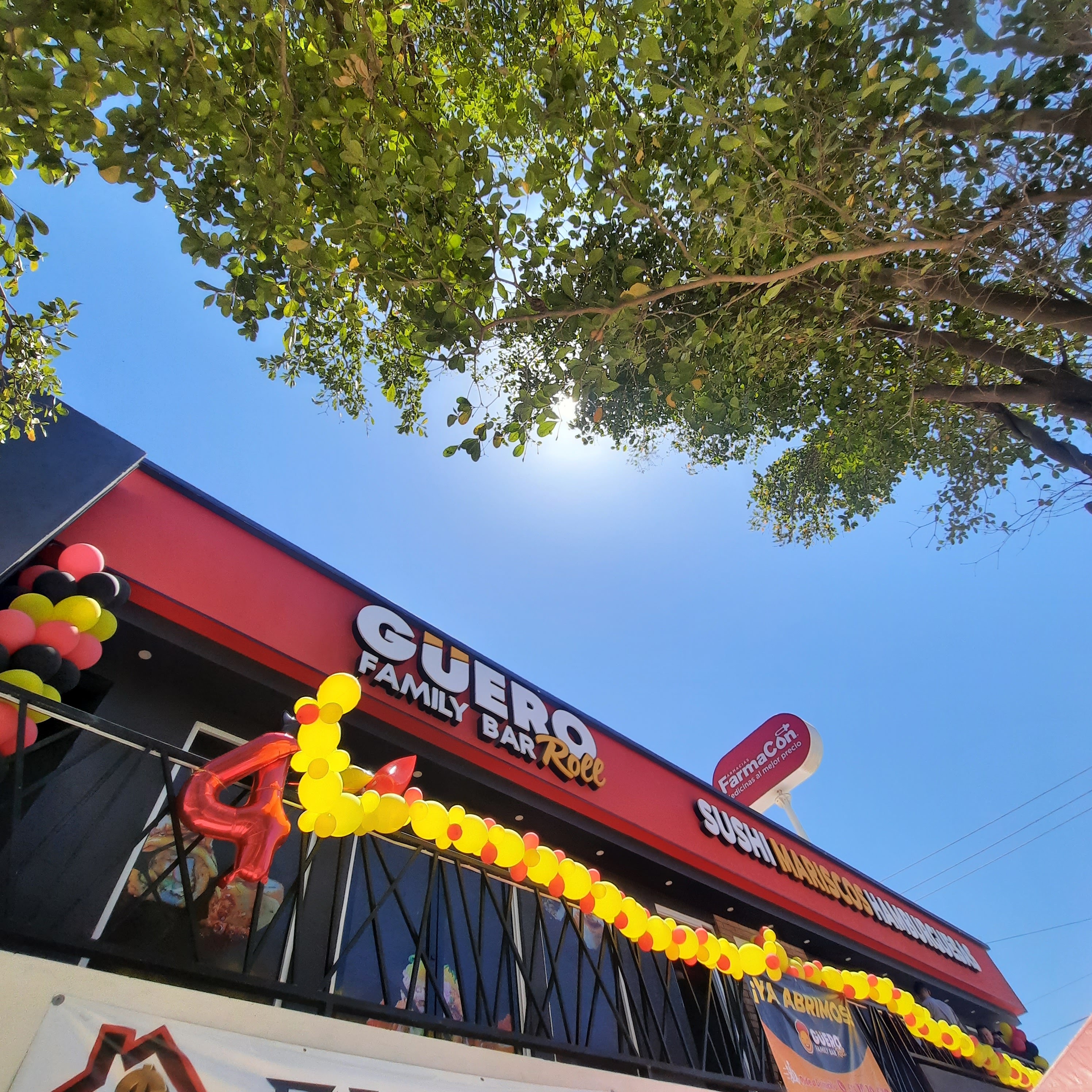 Guero Roll ️ Prado Bonito image 3