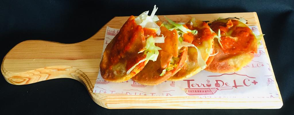 TERRA DE LC+ image 2