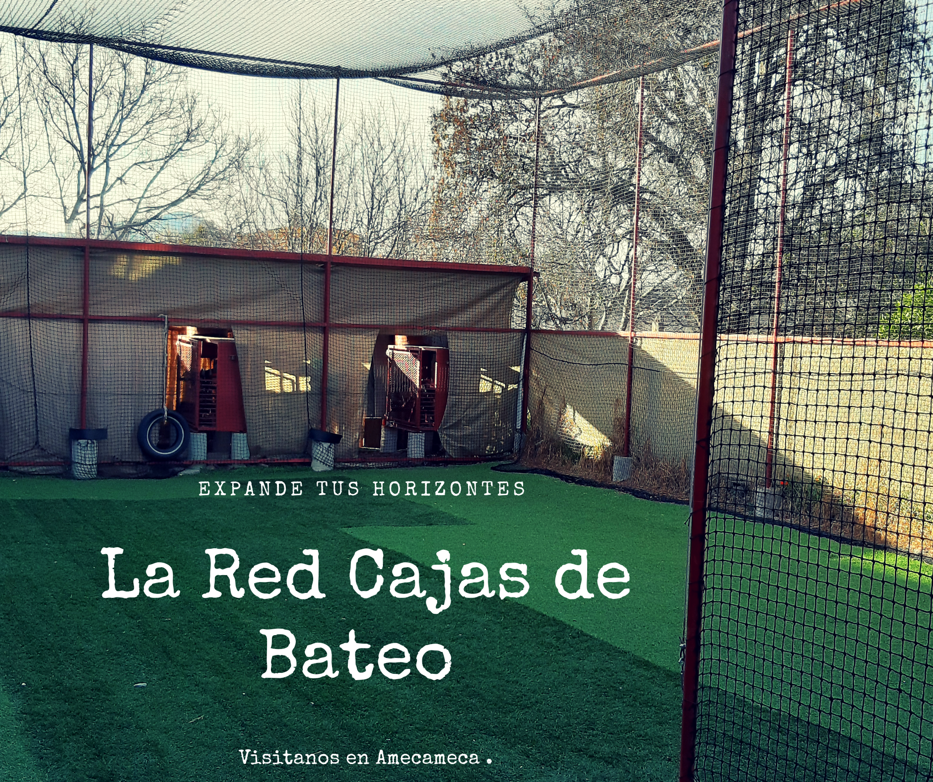 La Red cajas de bateo image 6