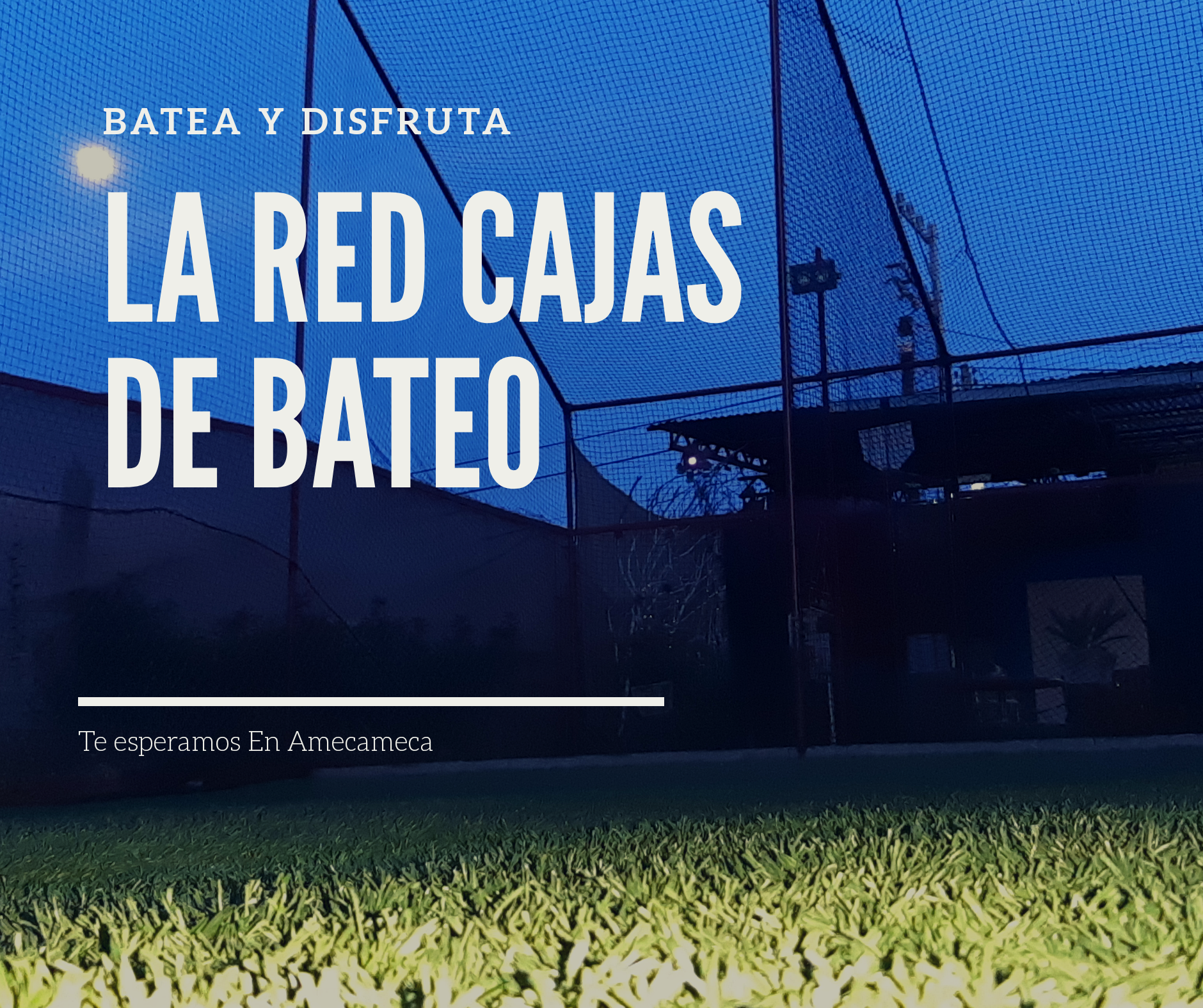 La Red cajas de bateo image 8