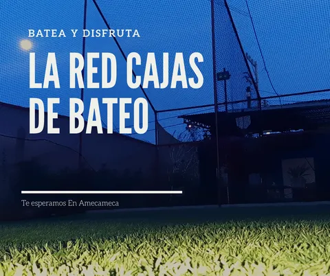 La Red cajas de bateo image 8