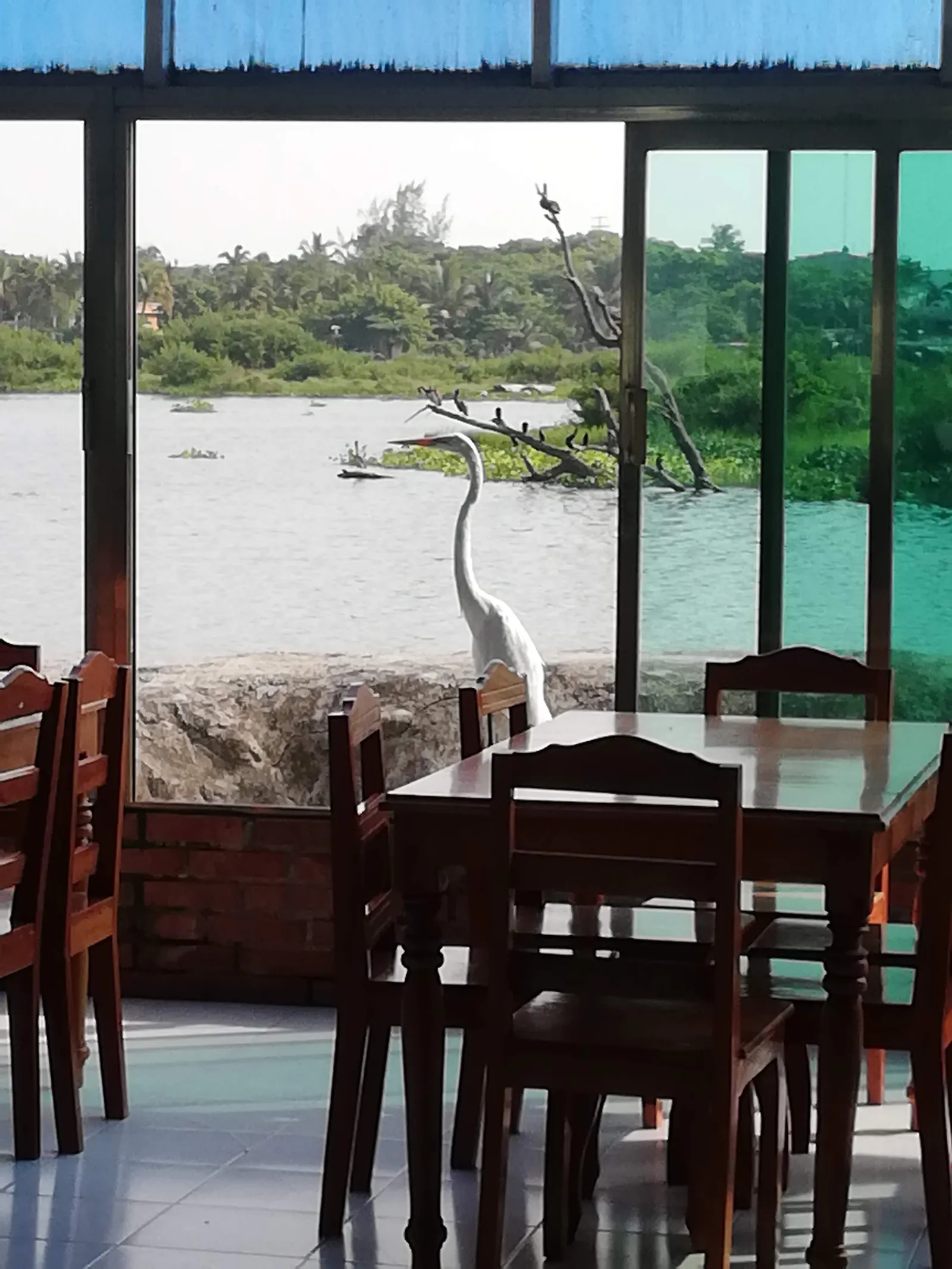 LAS GAVIOTAS image 1