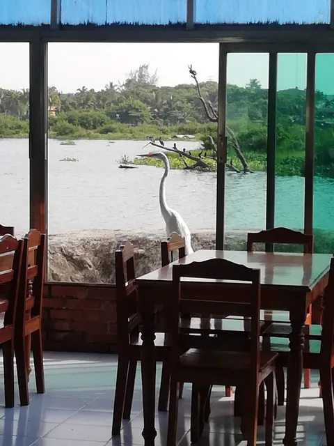 LAS GAVIOTAS image 1