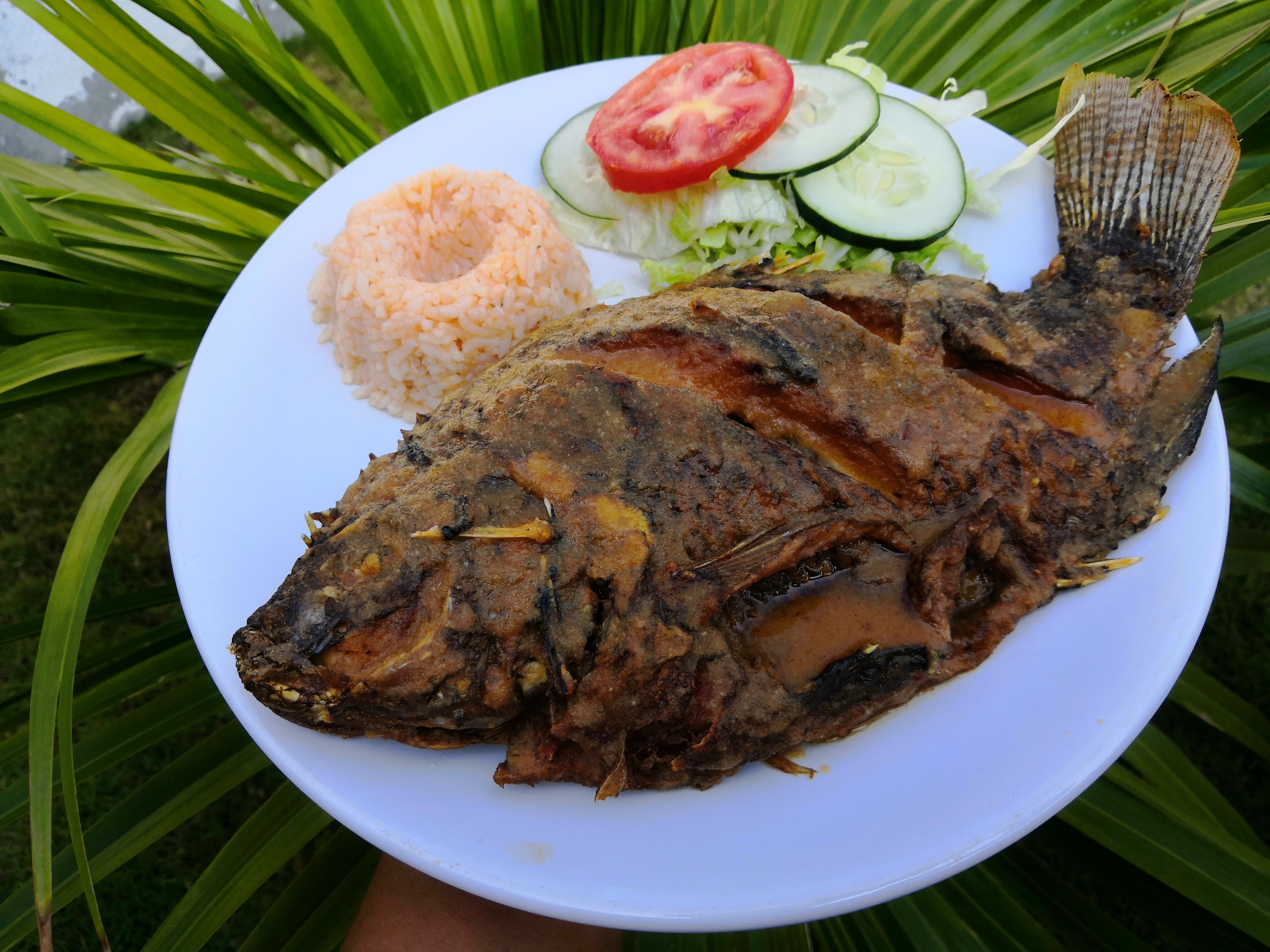 LAS GAVIOTAS image 2