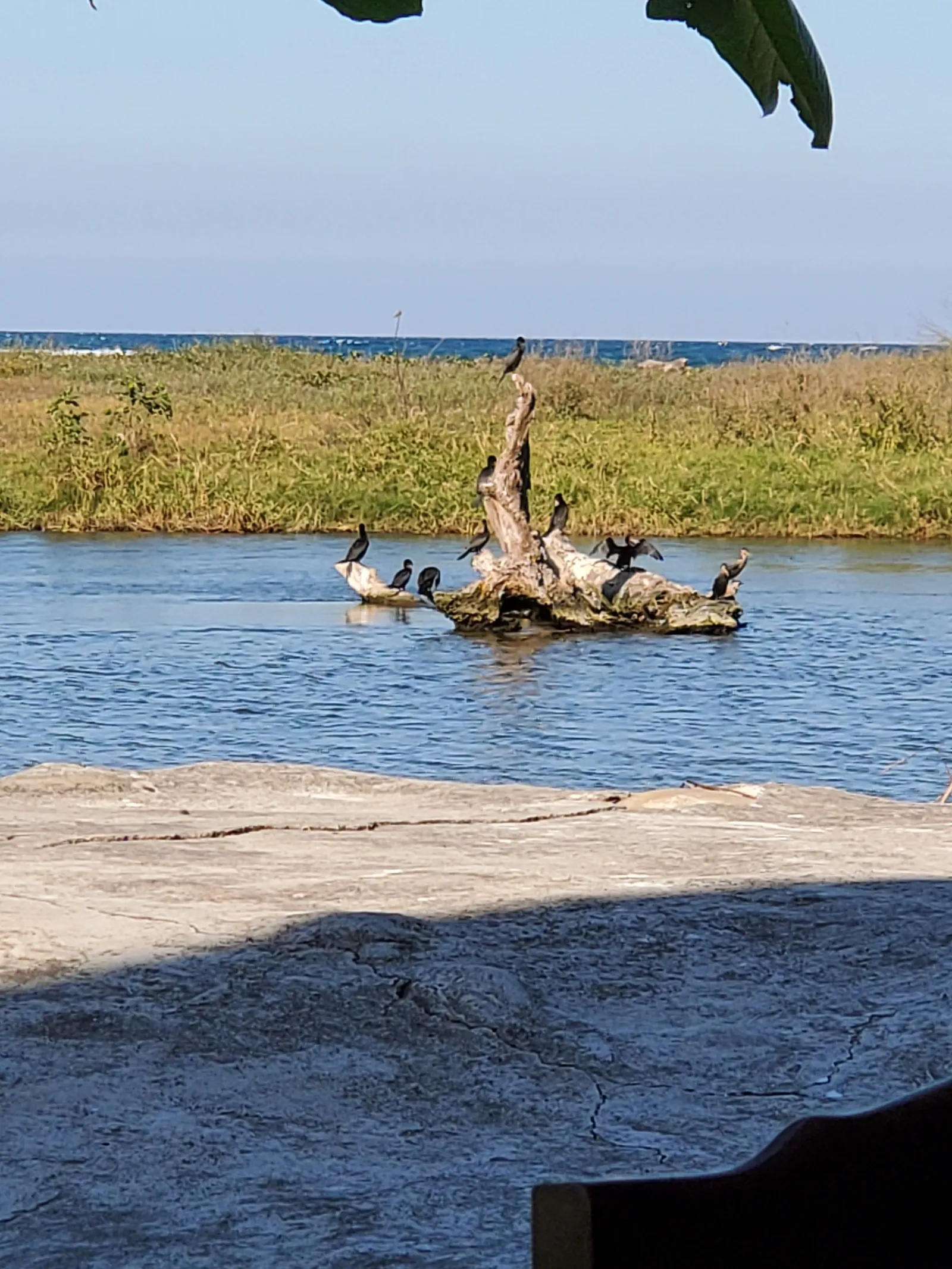 LAS GAVIOTAS image 5