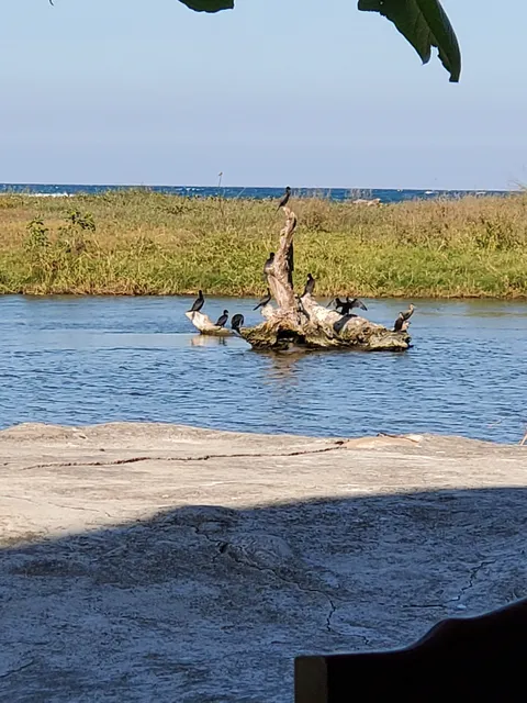 LAS GAVIOTAS image 5