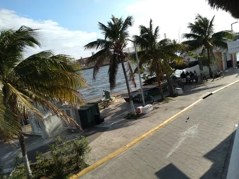 La Jarocha image 4