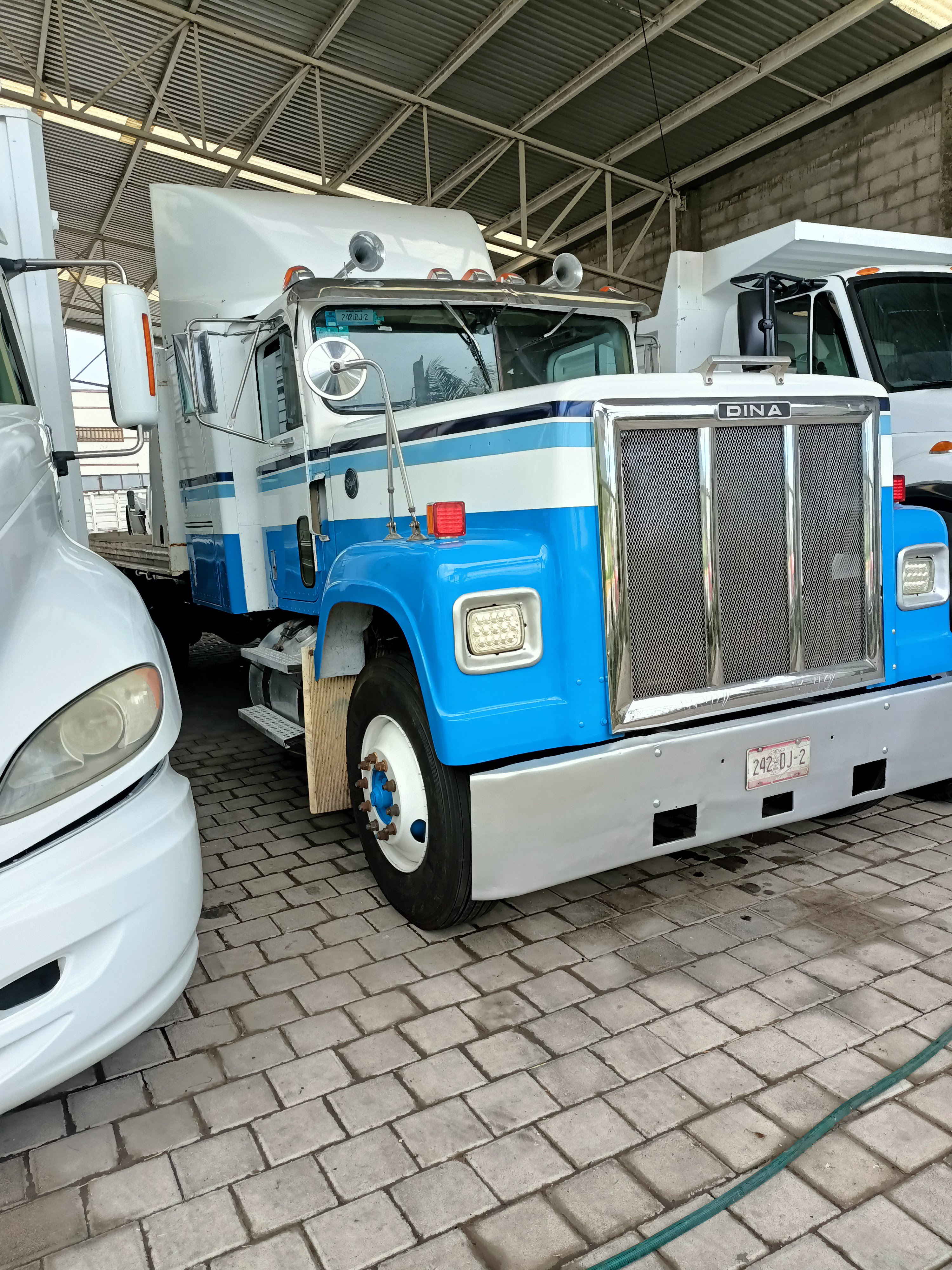 Mariscos Puerto Marquez image 5