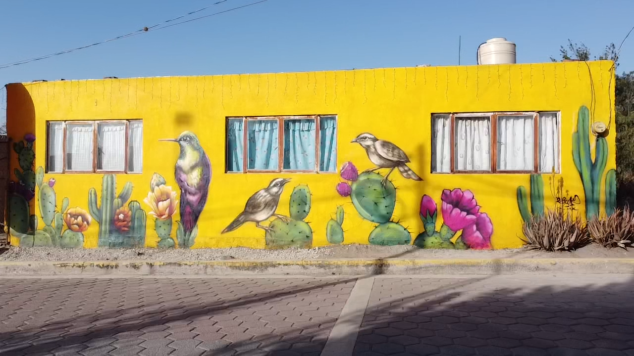 Xoconostle San Mateo Tlaixpan image 1