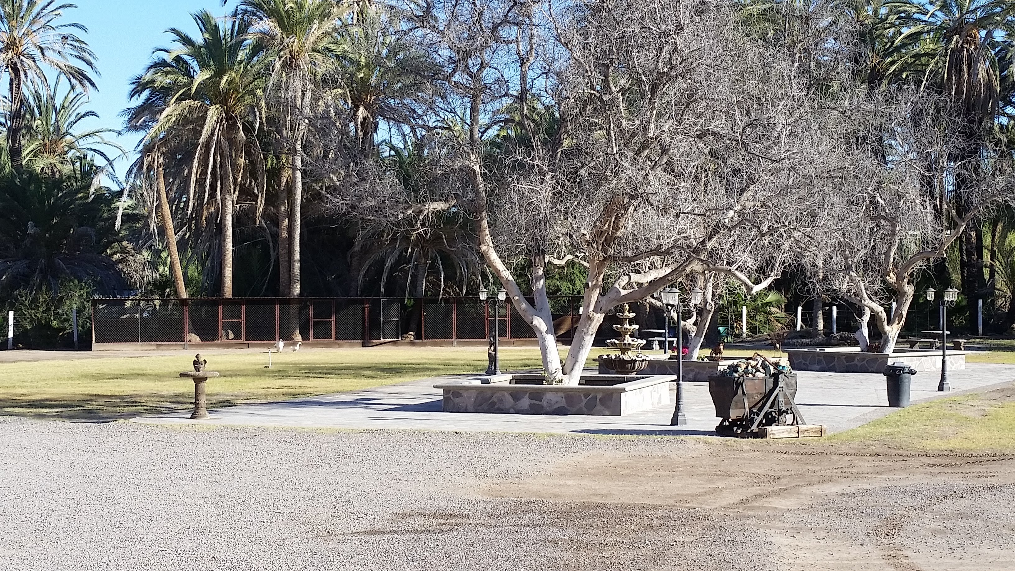 Restaurant La Huerta image 5