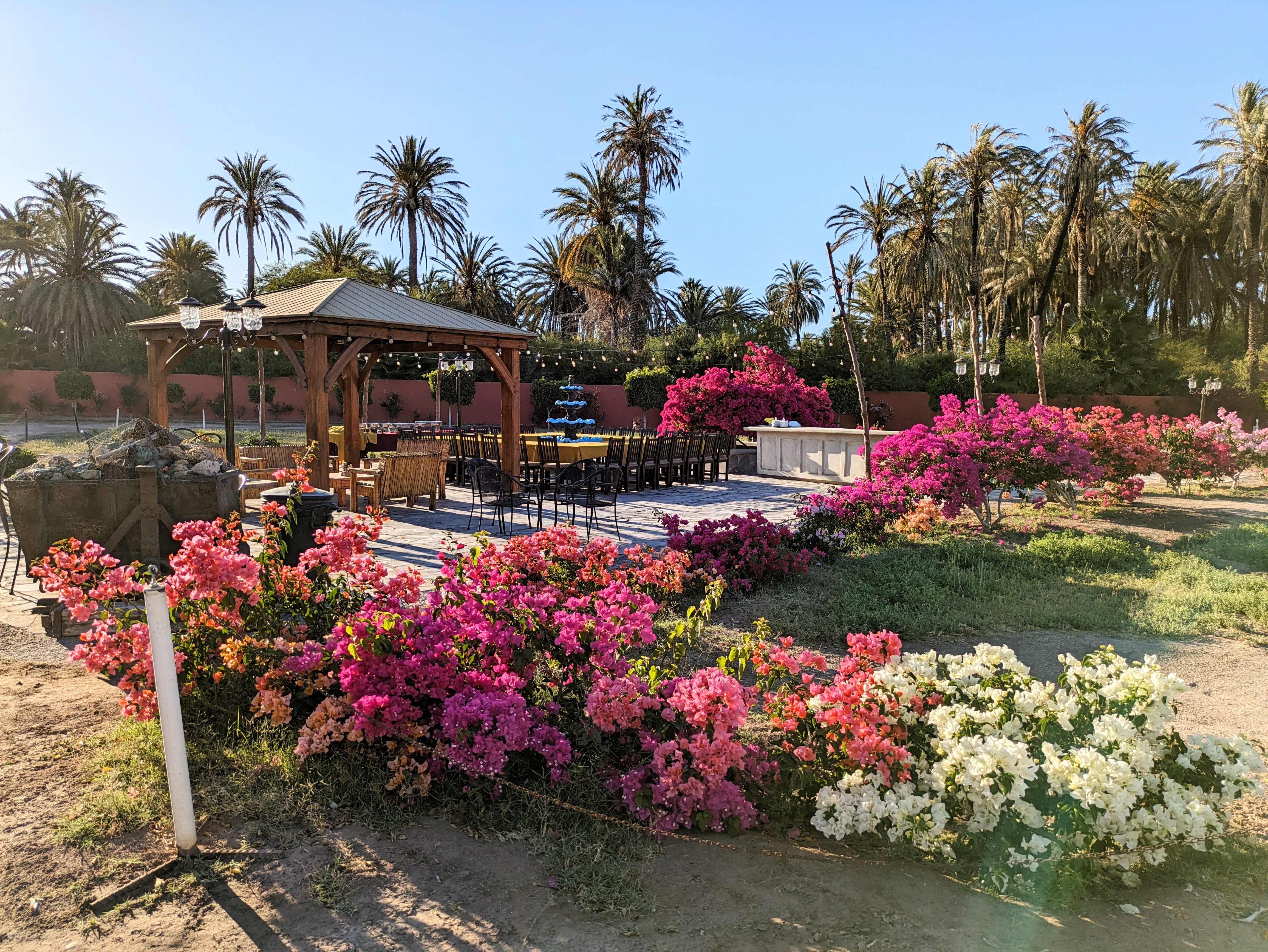 Restaurant La Huerta image 9