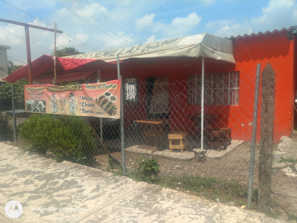 TAQUERÍA DOMINGUEZ image 6