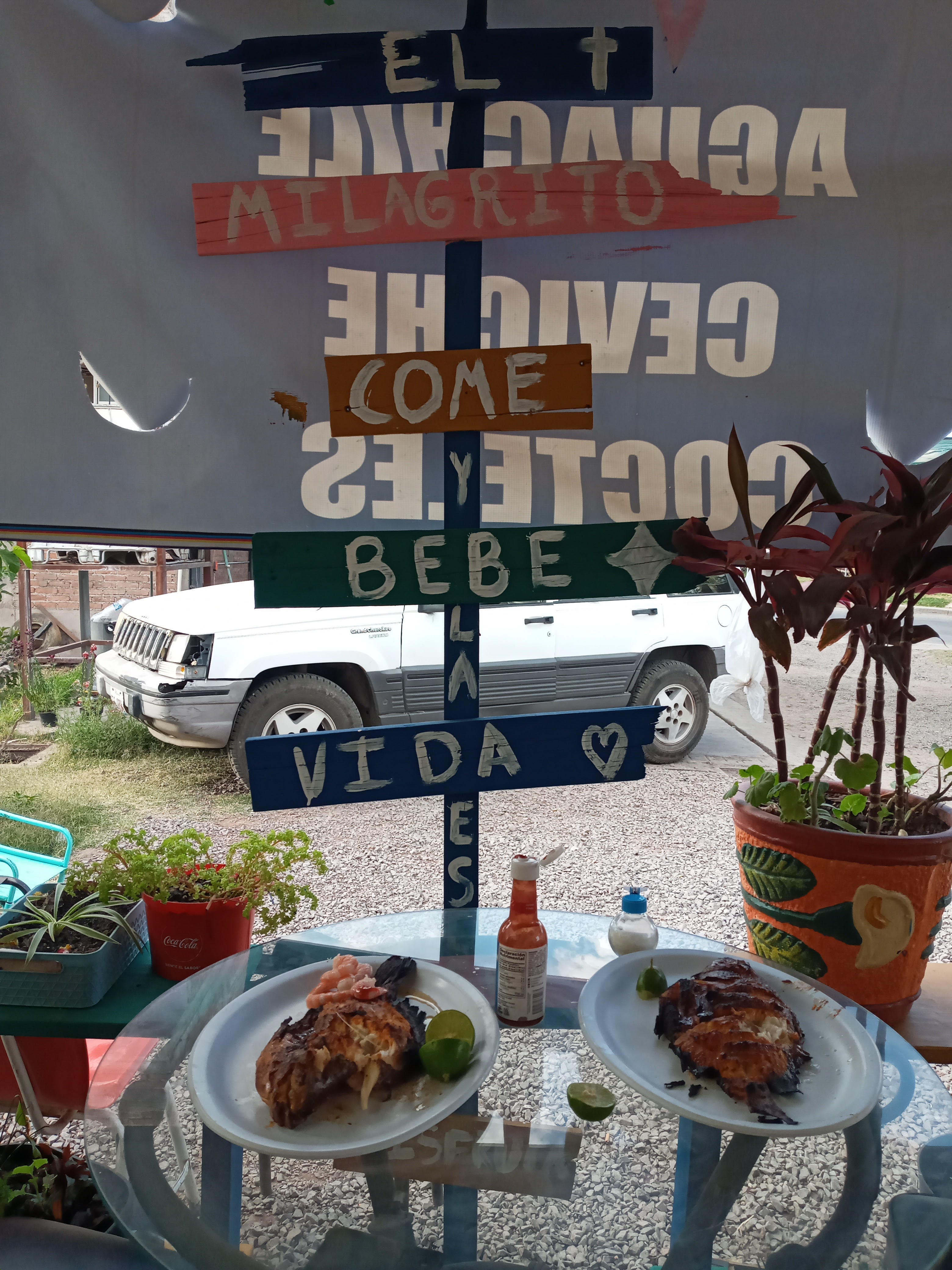 Pescados y mariscos El Milagrito image 8