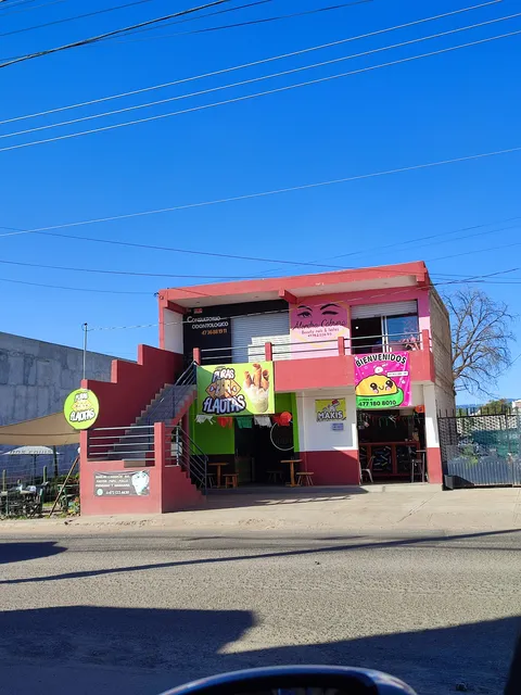 Puras Flautas image 1