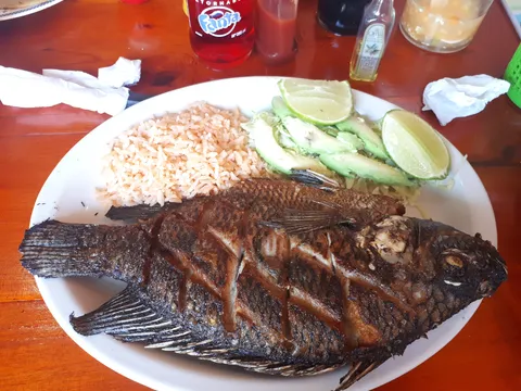 Los Jacobos image 1