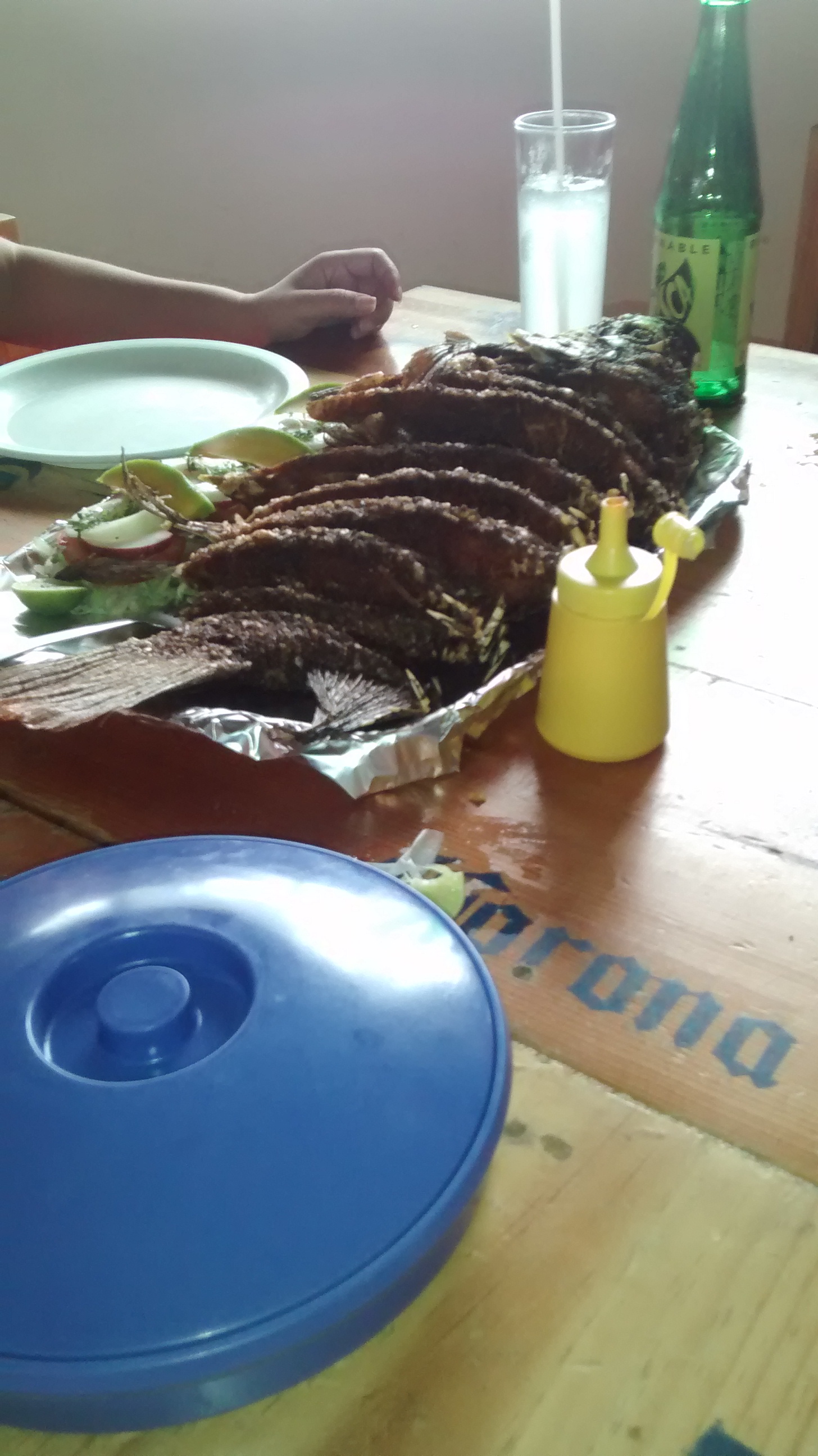 Palapa El Tritón image 2