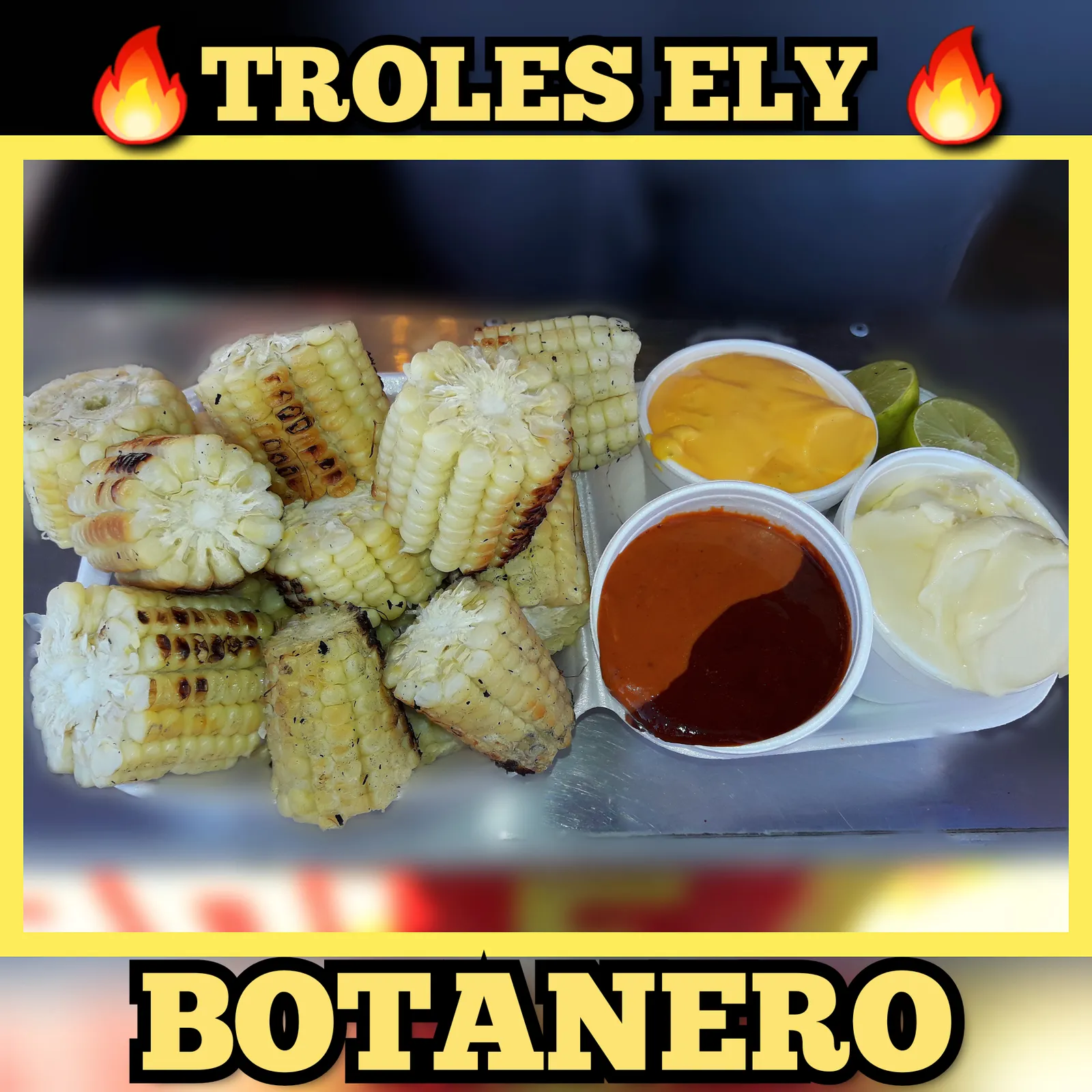 TROLES Y ELOTES "ELY" image 10