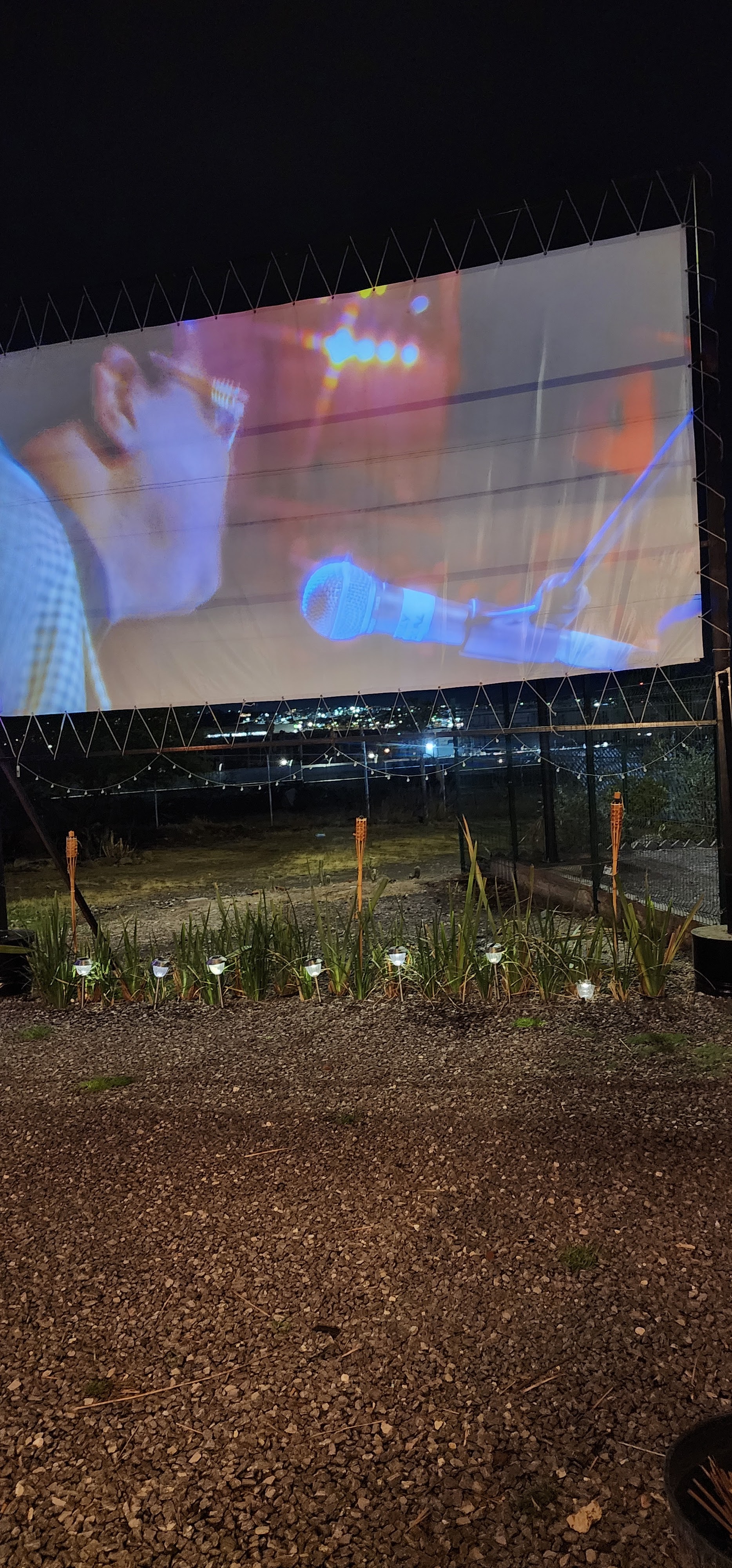 Las Glamurosas image 9