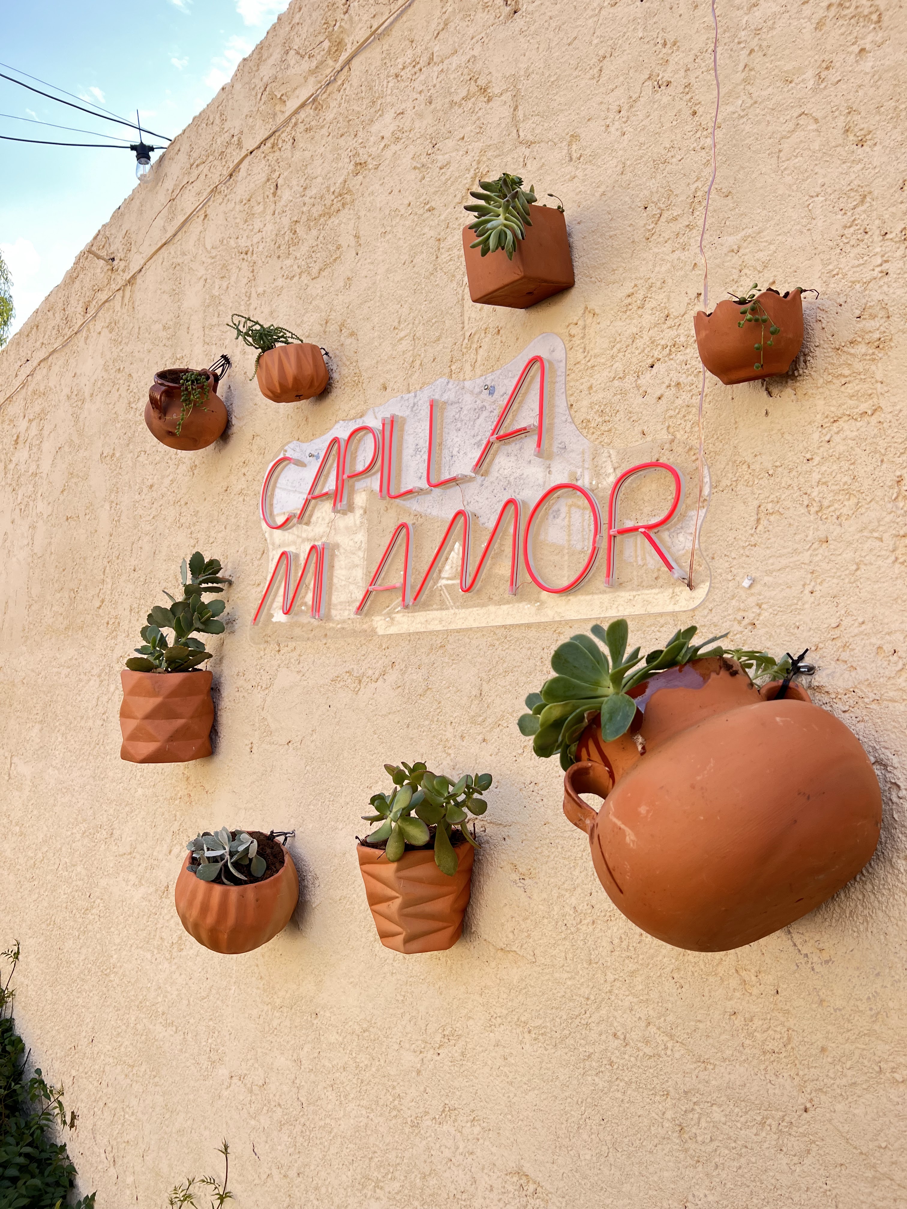 LITRO Y MEDIO CAPILLA DE GPE. image 8