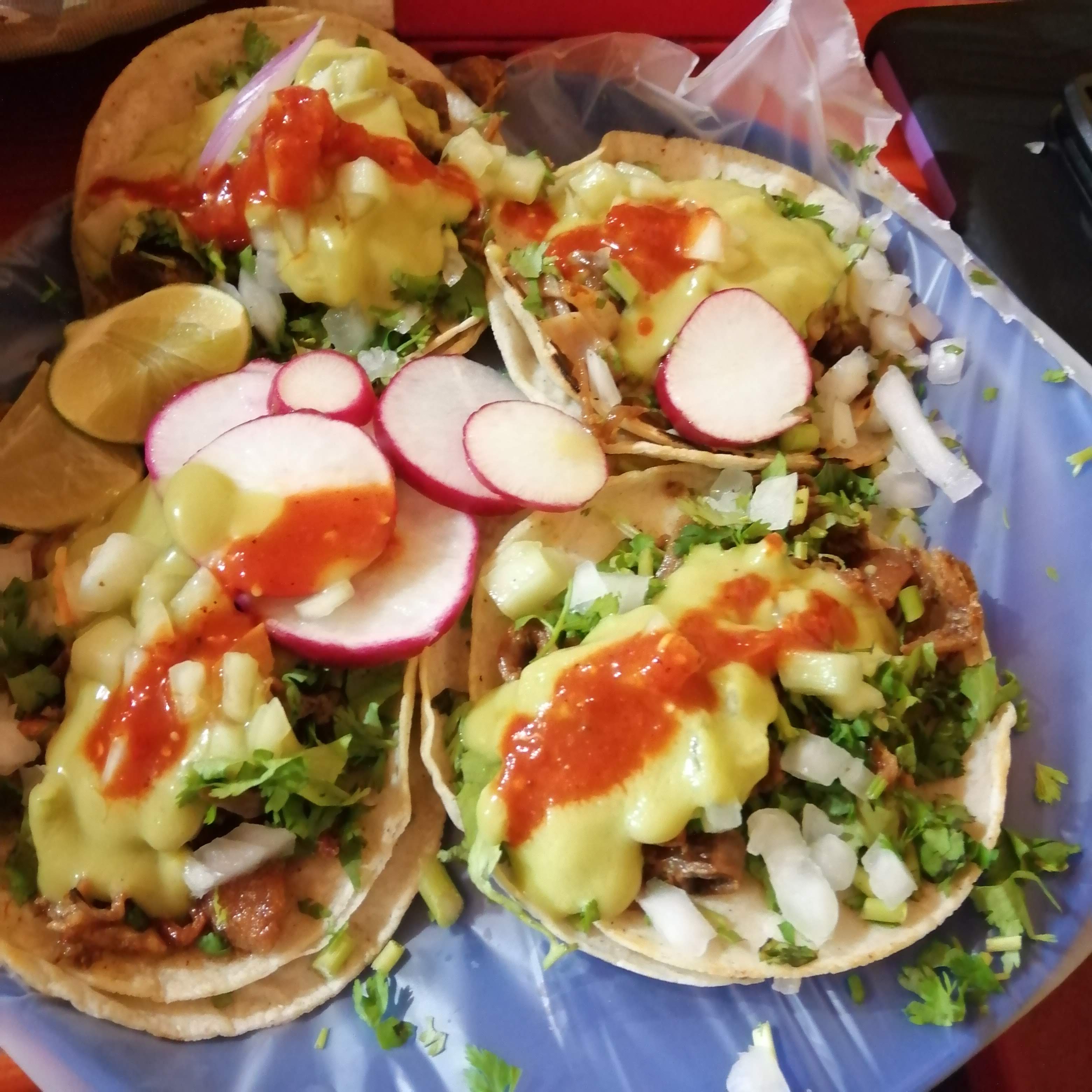 Taqueria "Mi Jacalito" image 1