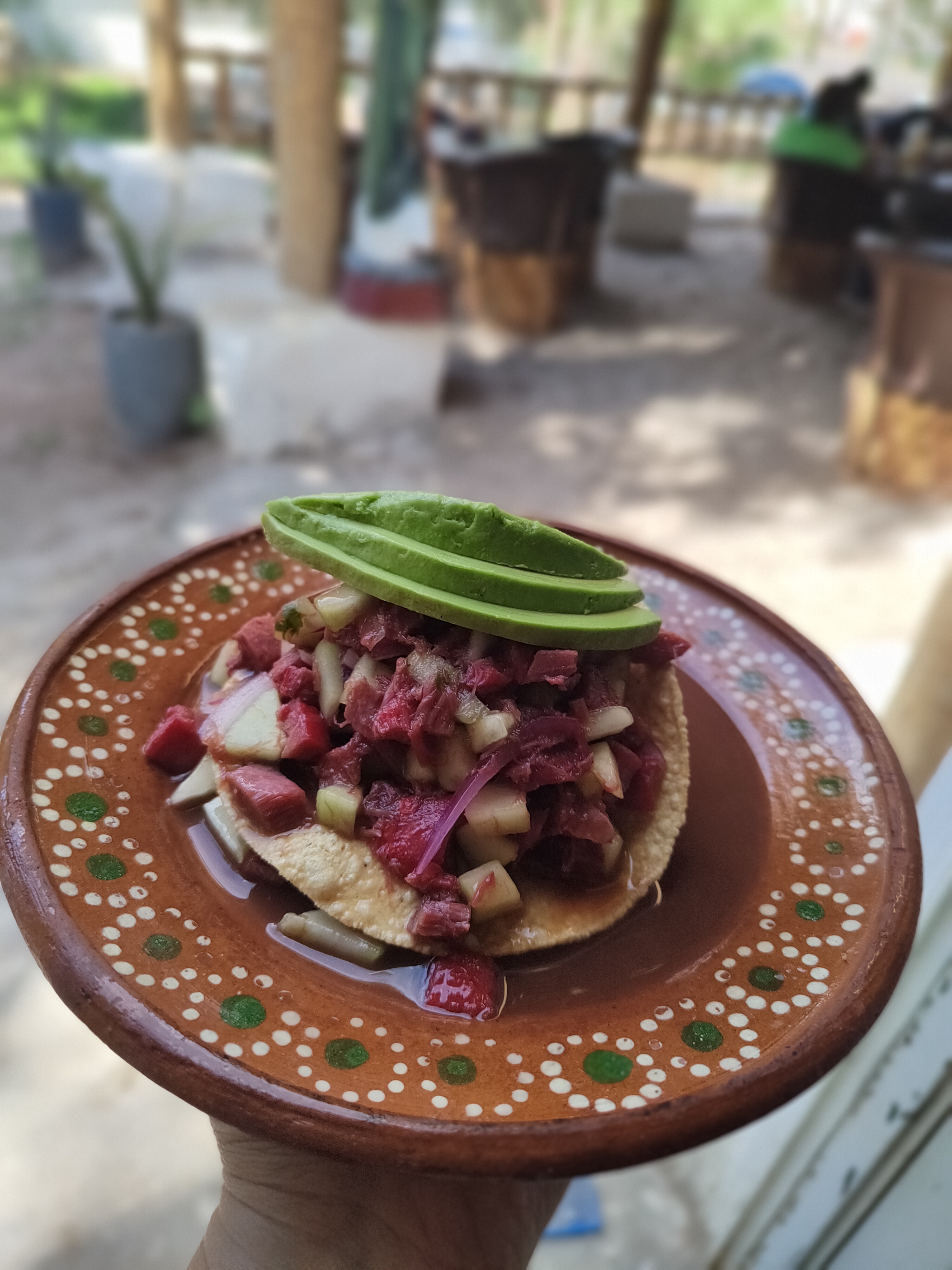 Palapa Tierra Noble image 5