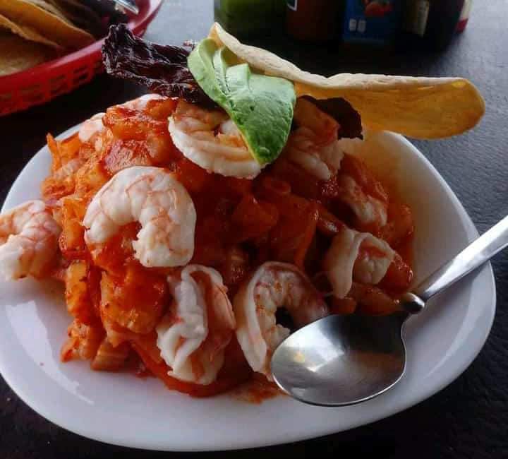 Palapa Tierra Noble image 8