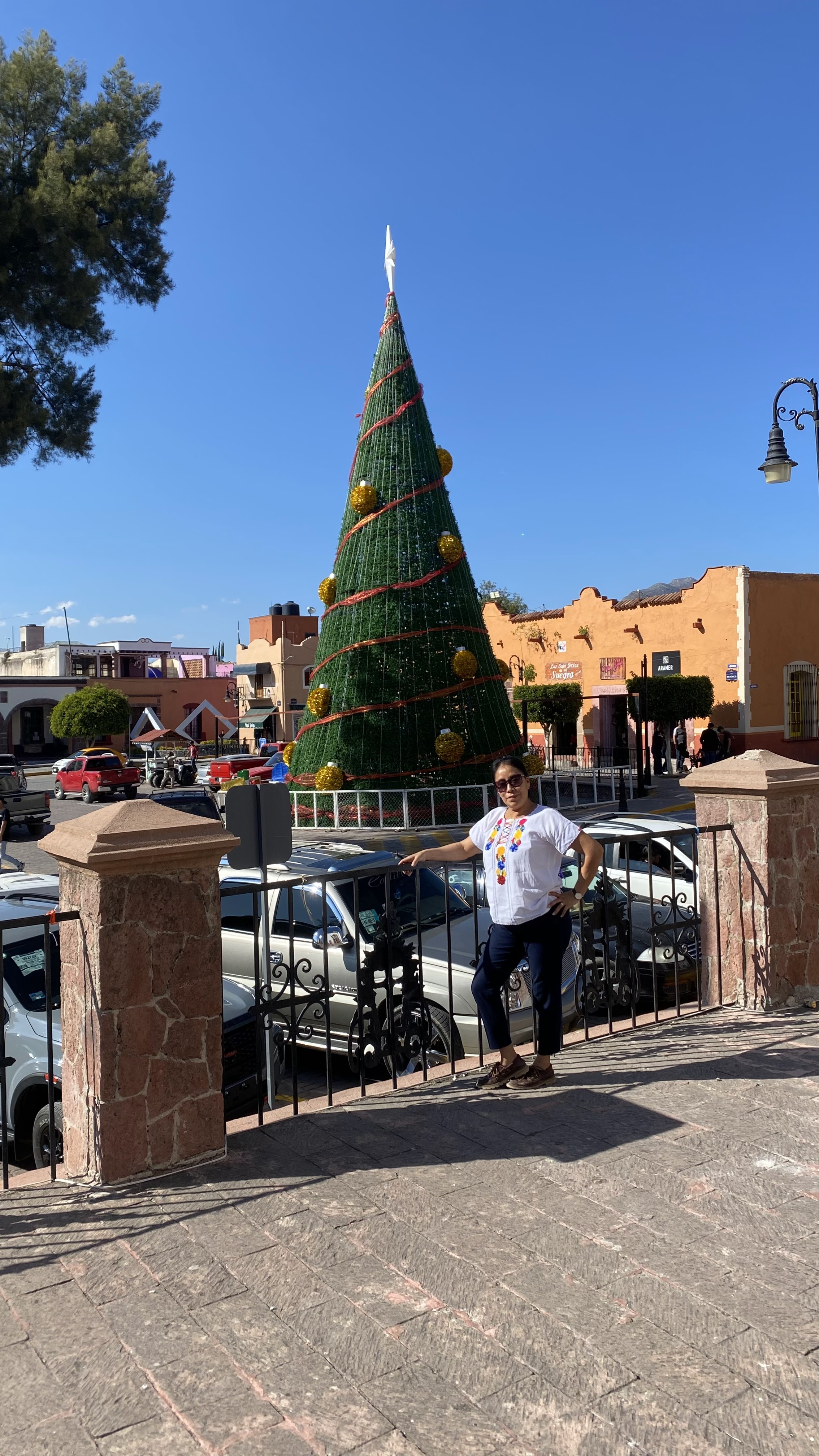 Las Super Tortas De Mi Suegra image 3