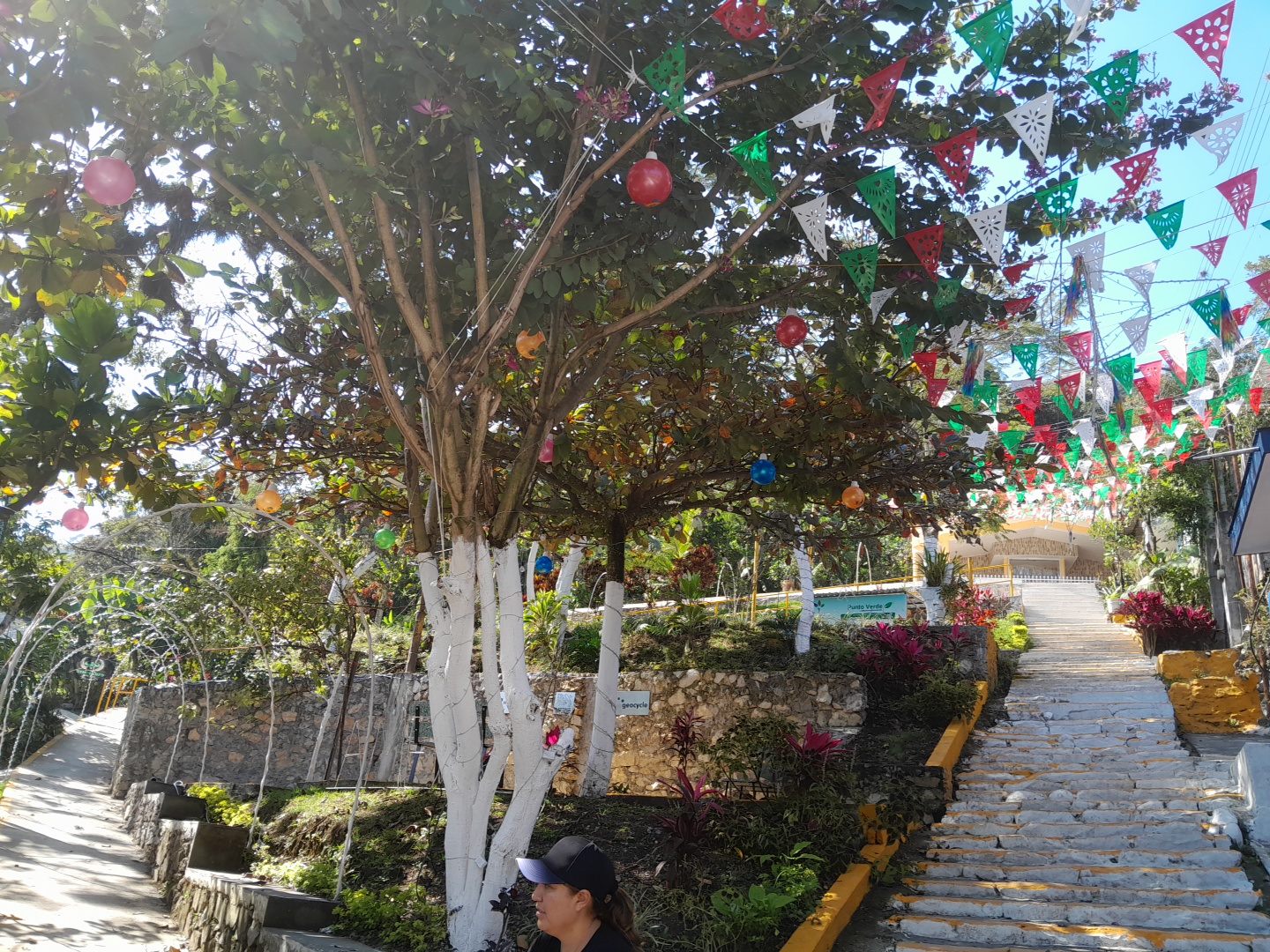 Marisquería y Terraza Puerto Ángel image 7