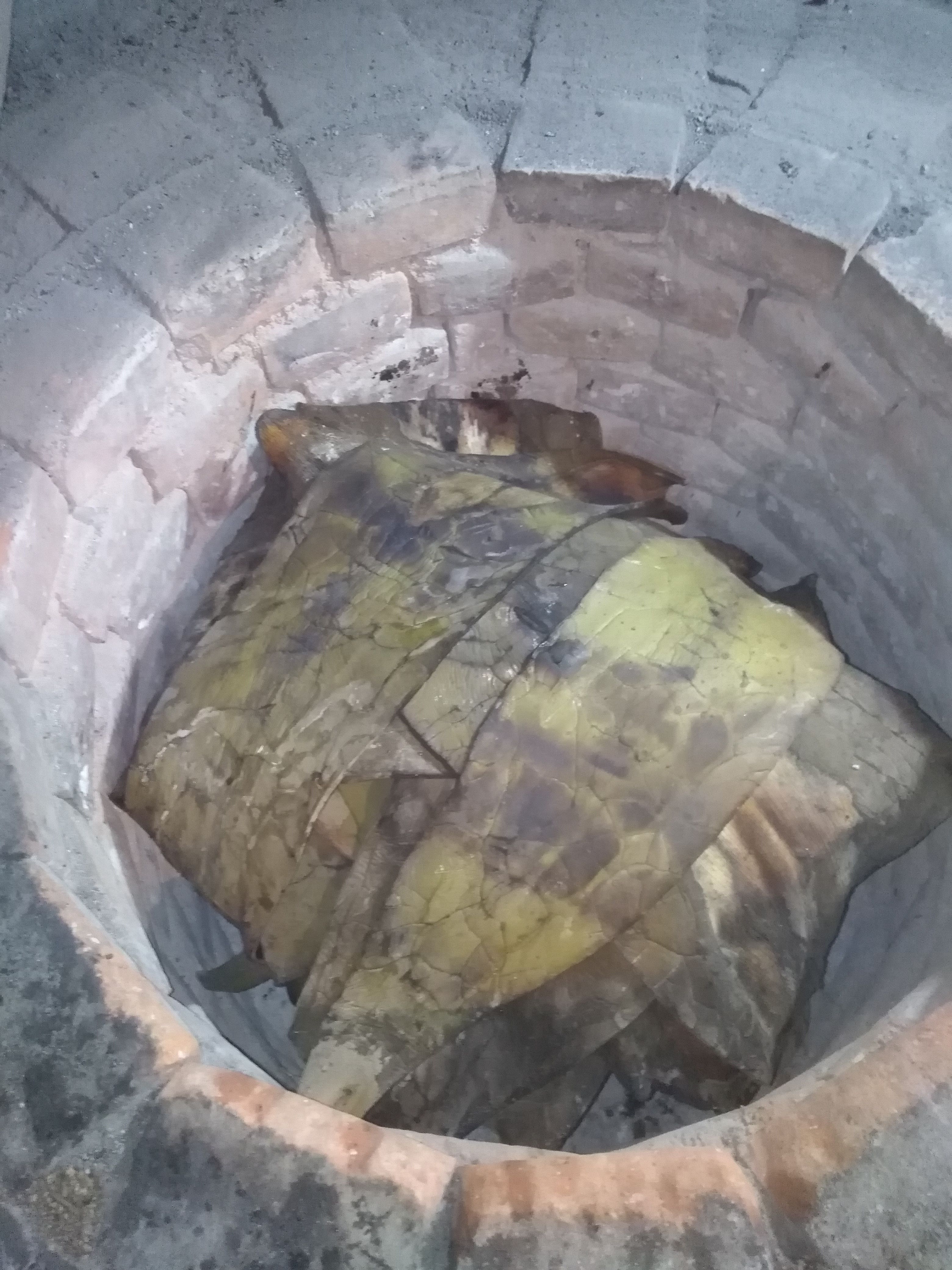 Terraza Doña Elvis image 3