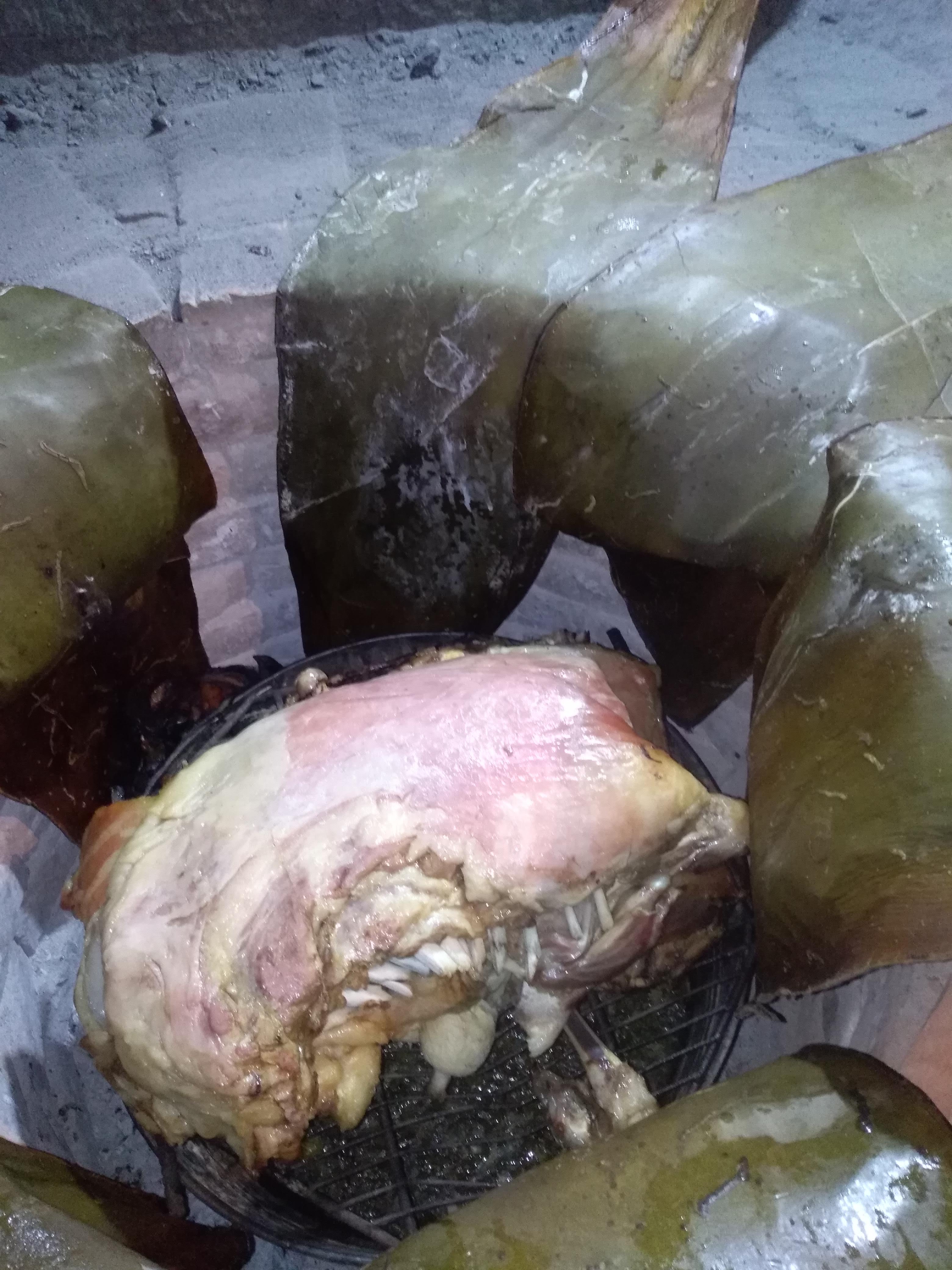 Terraza Doña Elvis image 10