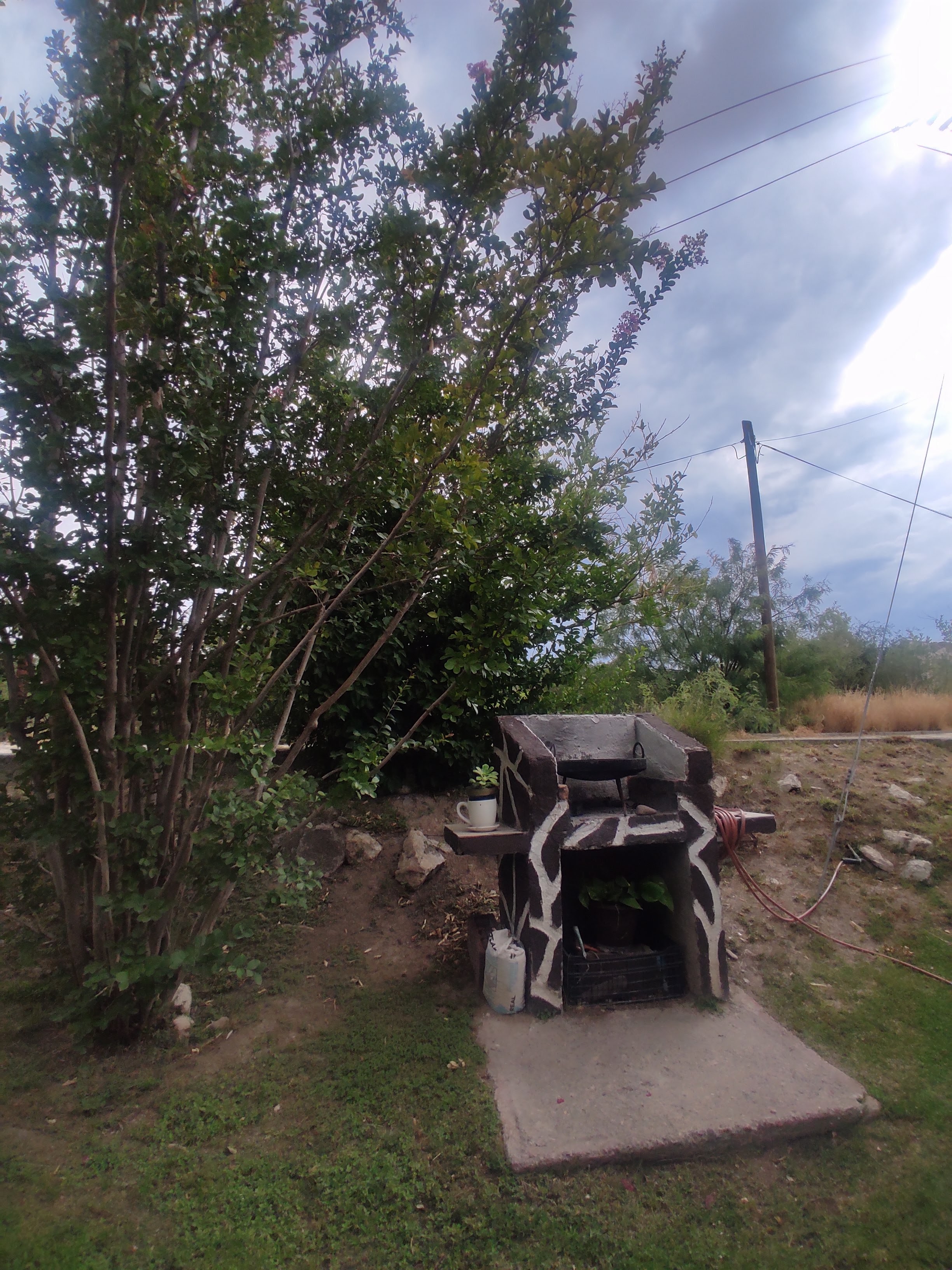Ceviches Boquilla image 10