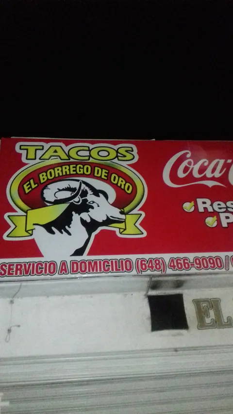 Tacos El Borrego de Oro image 5