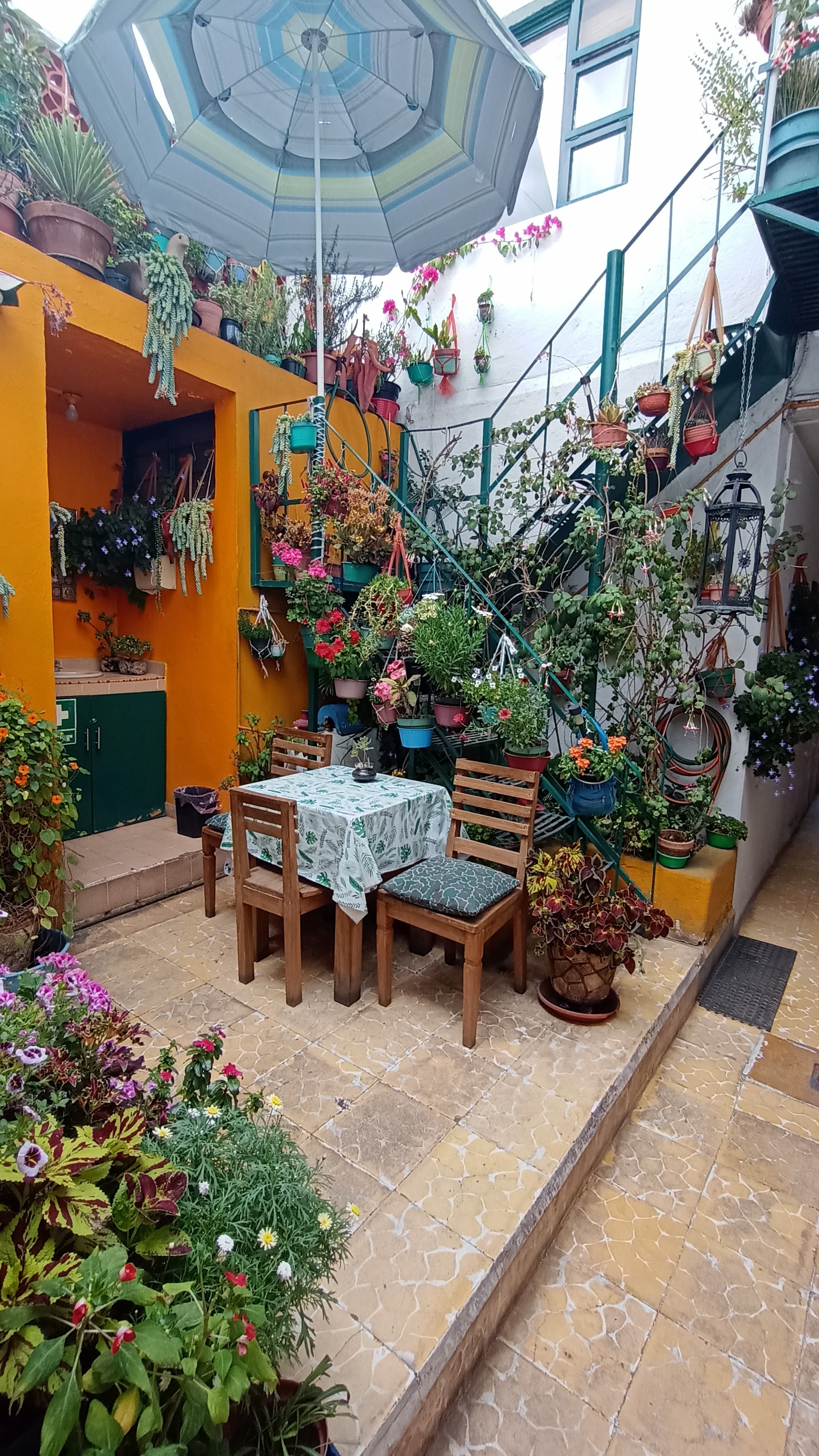 iL Corridoio image 2