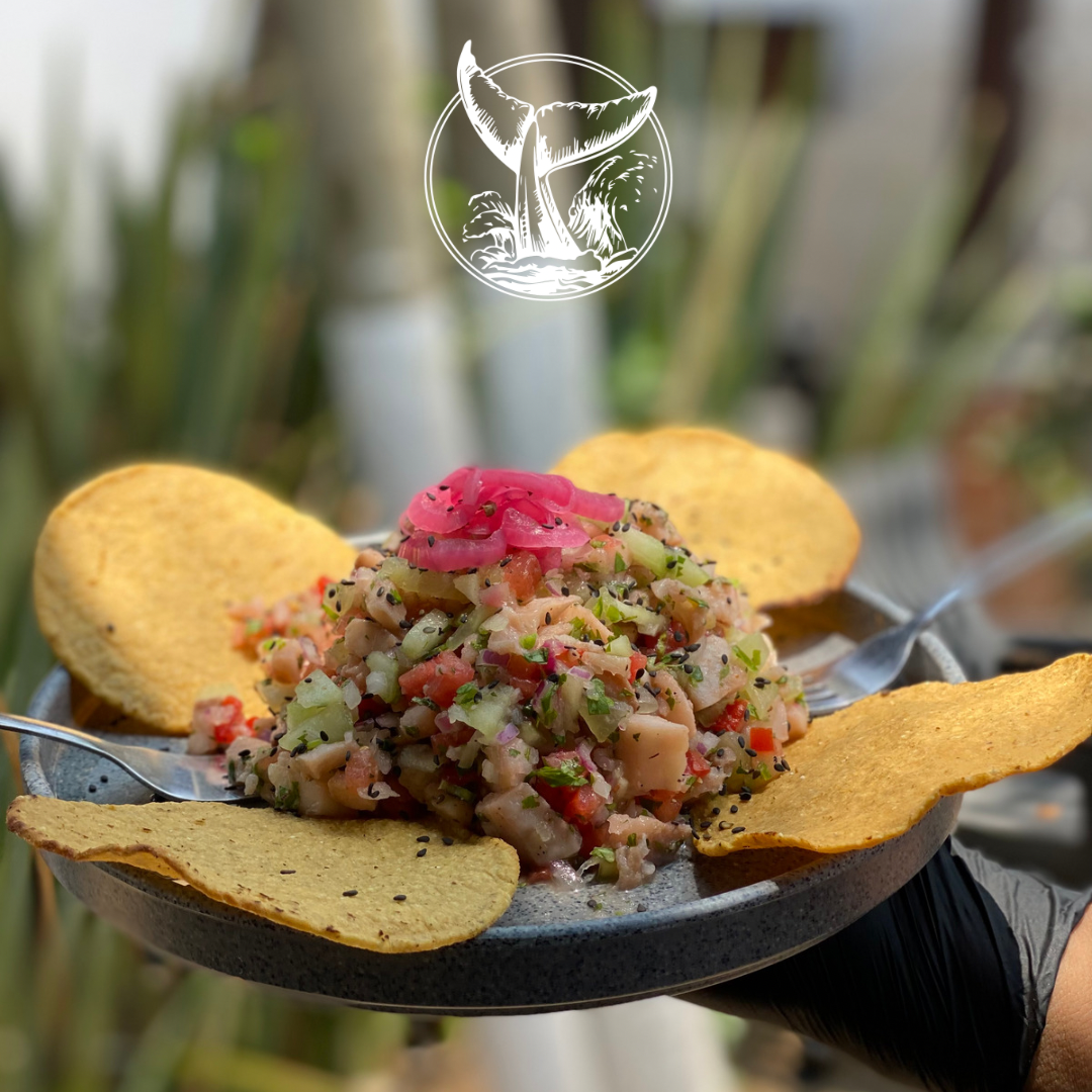 La Paceña tejado image 1