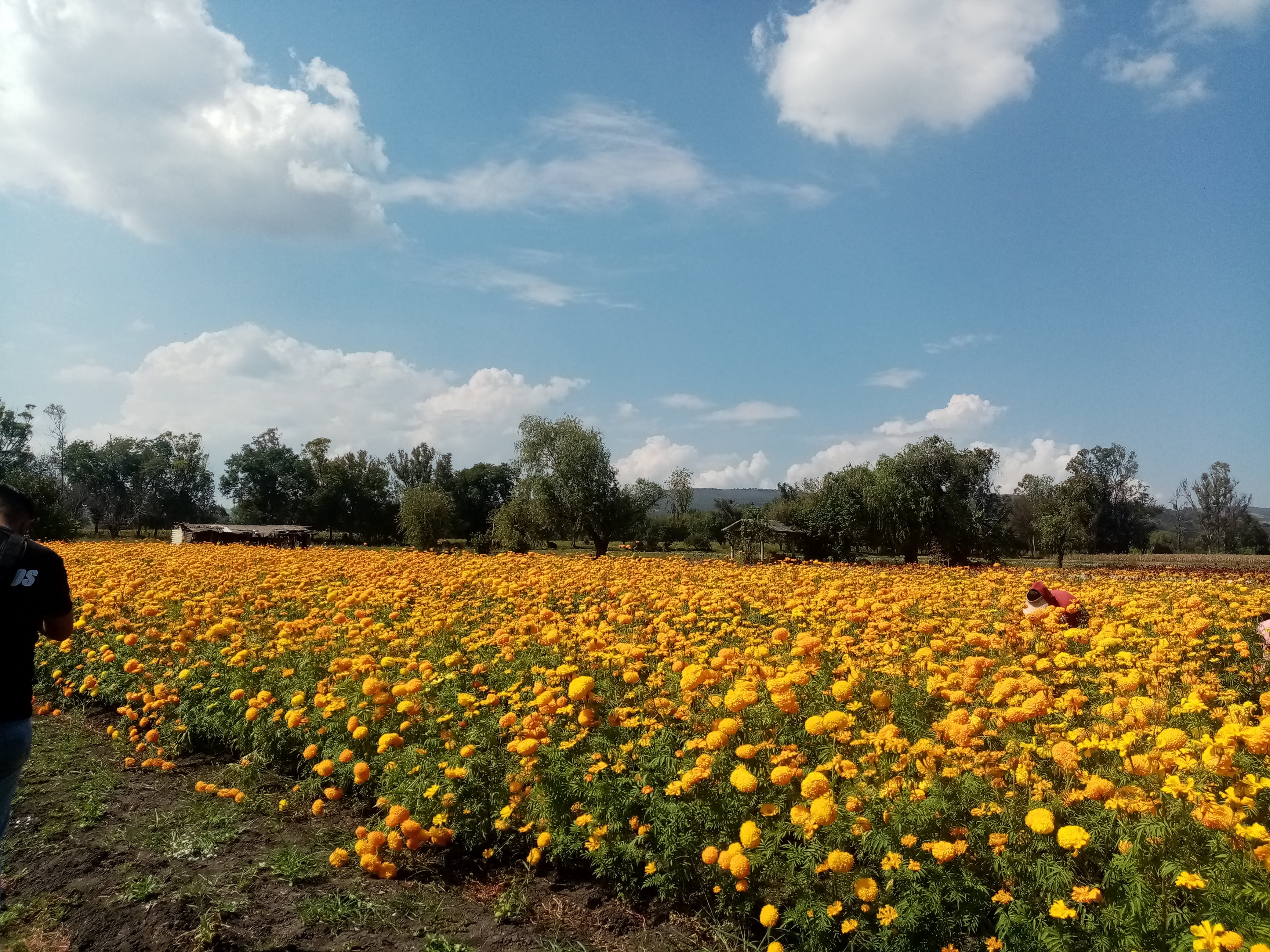 El Chiquitín image 1