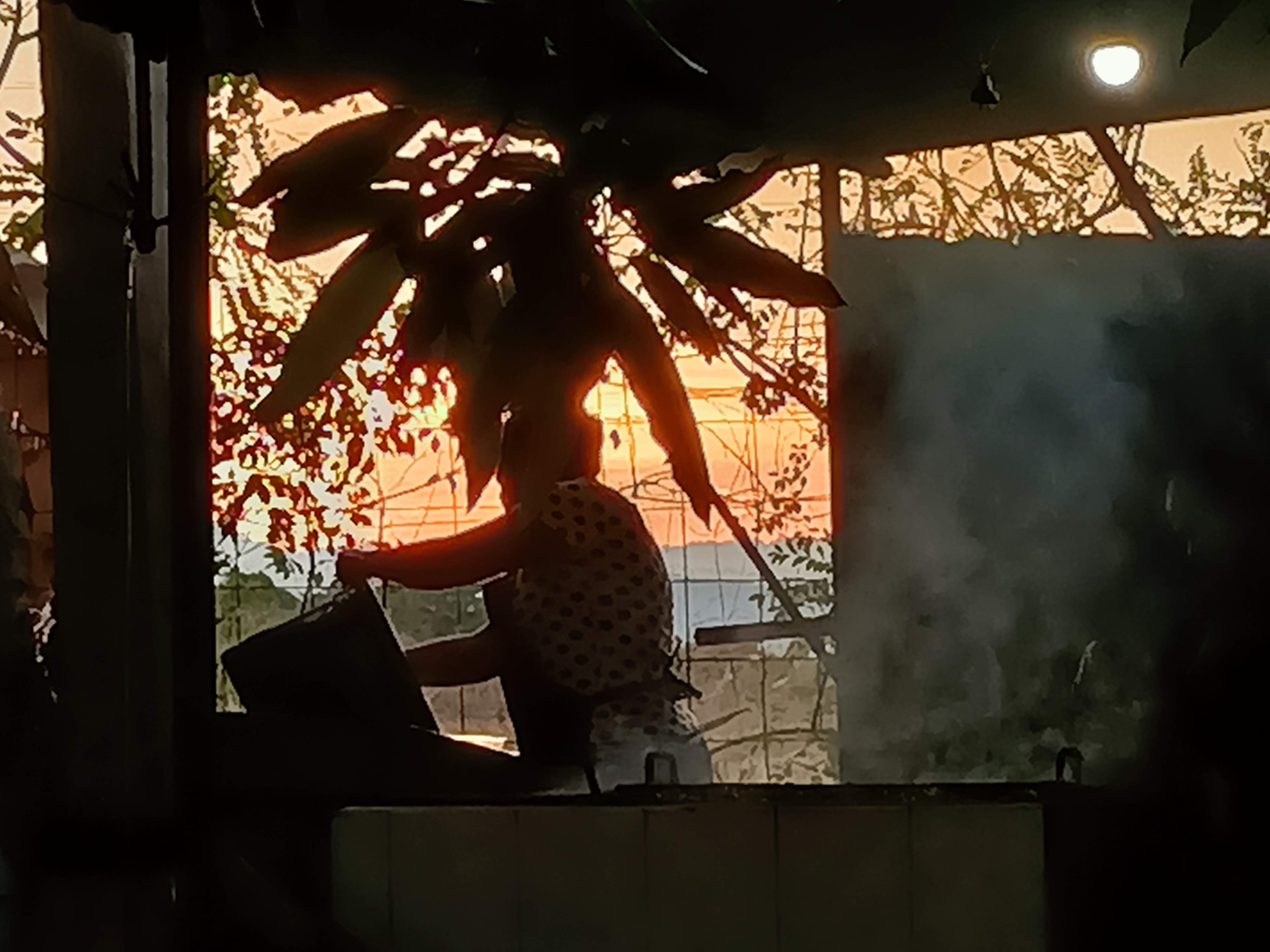 Comedor Tio Lencho image 5