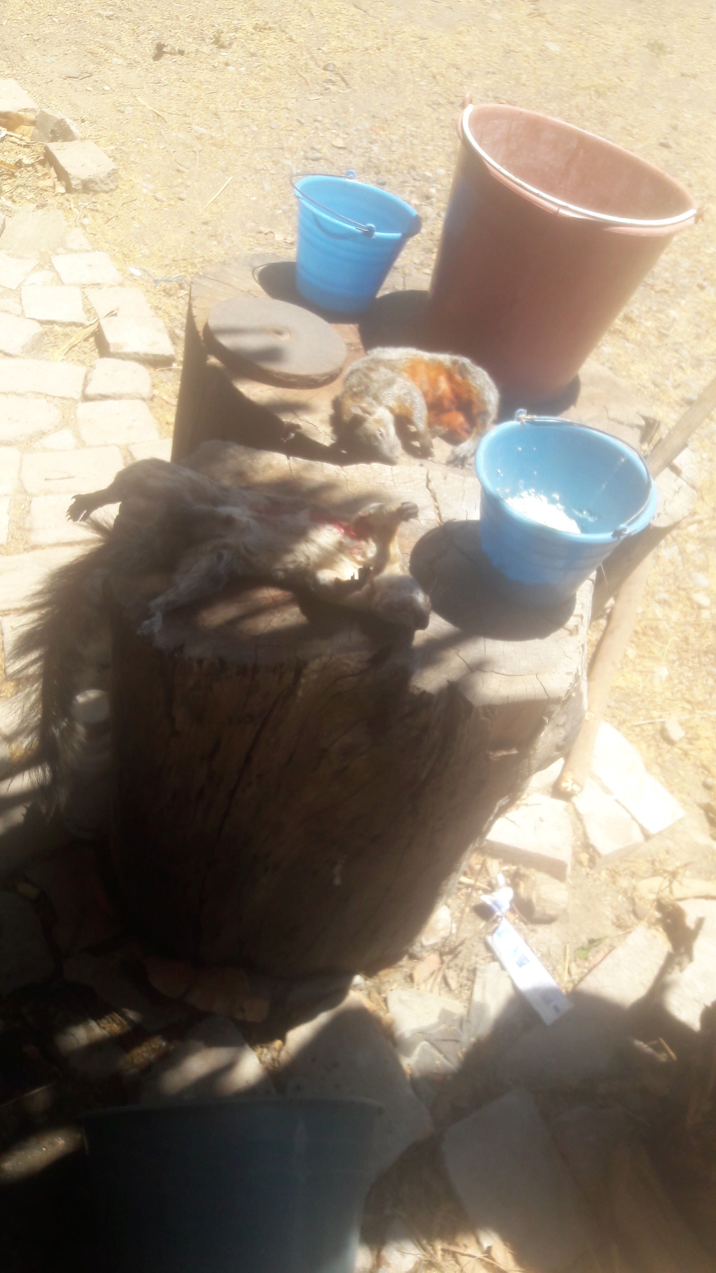 Hacienda Los Rojas Restaurante & Parrilla image 1