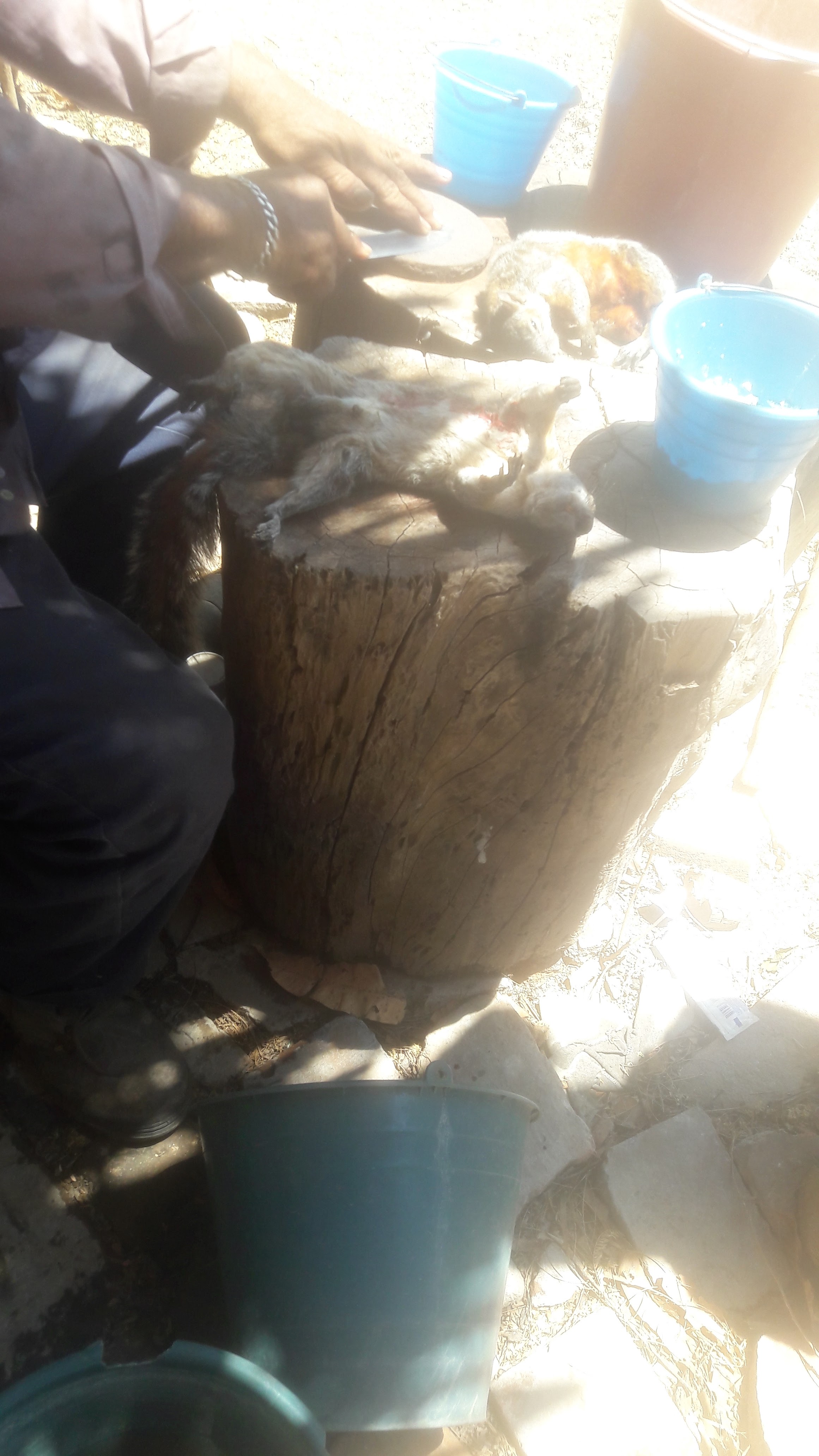 Hacienda Los Rojas Restaurante & Parrilla image 4