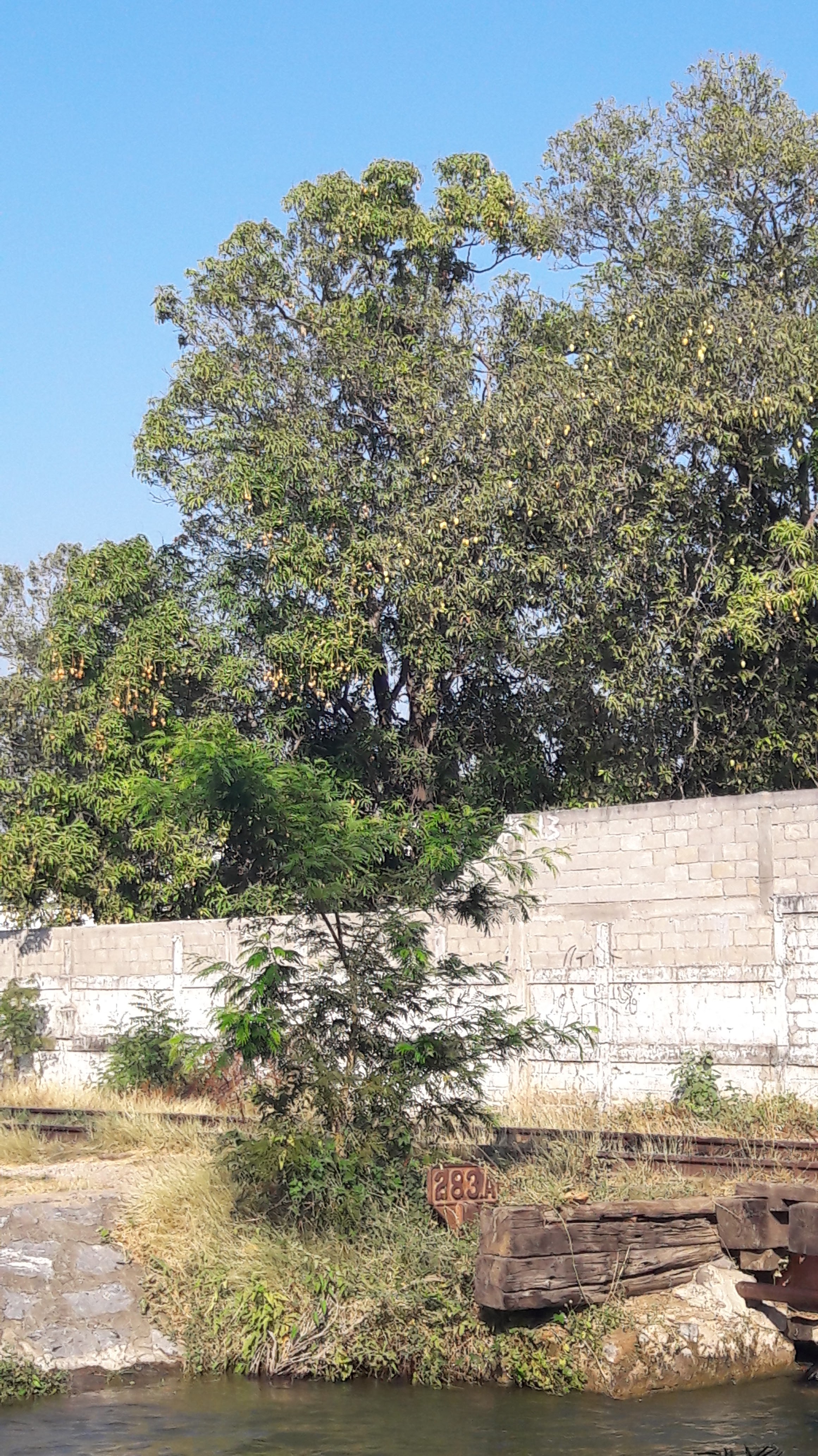 MALENO'S PIZZAS image 2