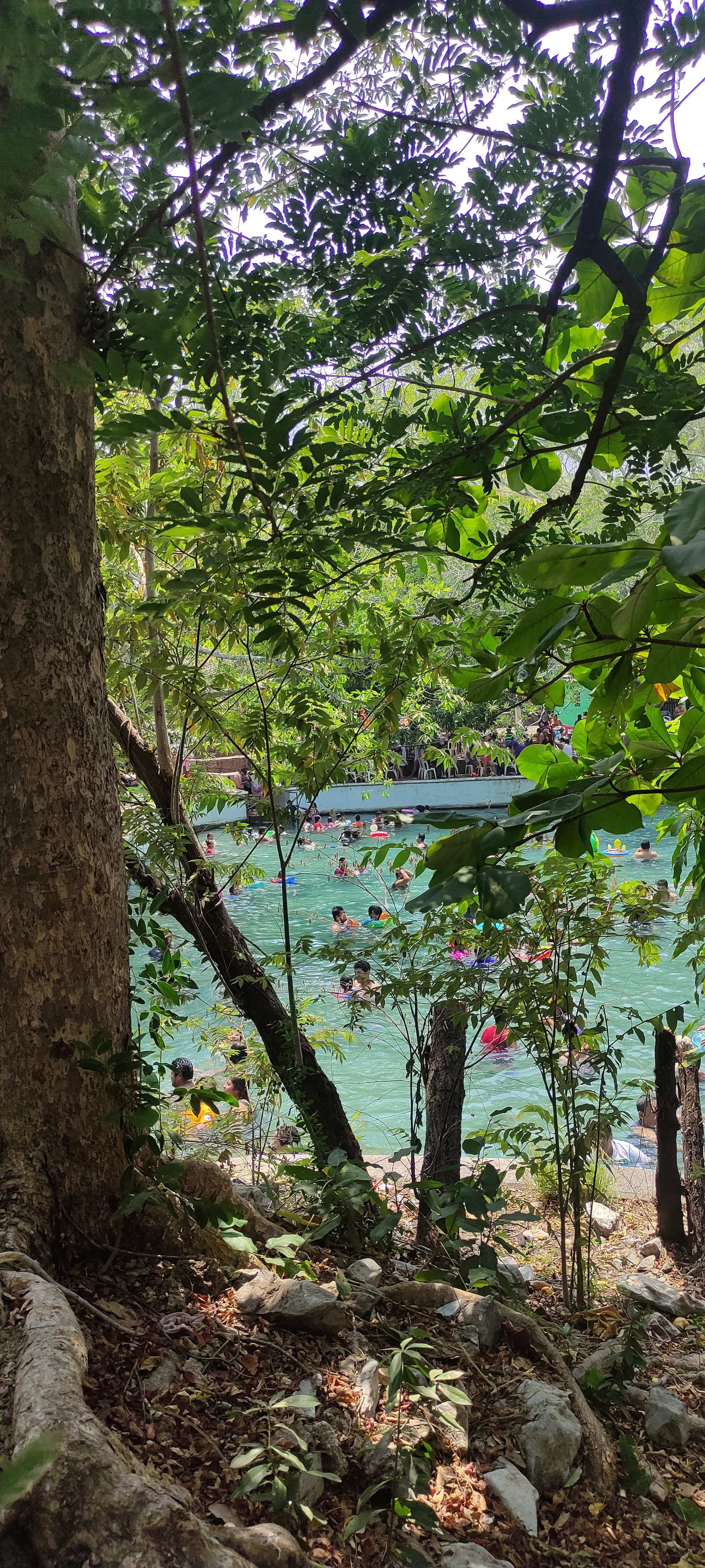 MALENO'S PIZZAS image 3