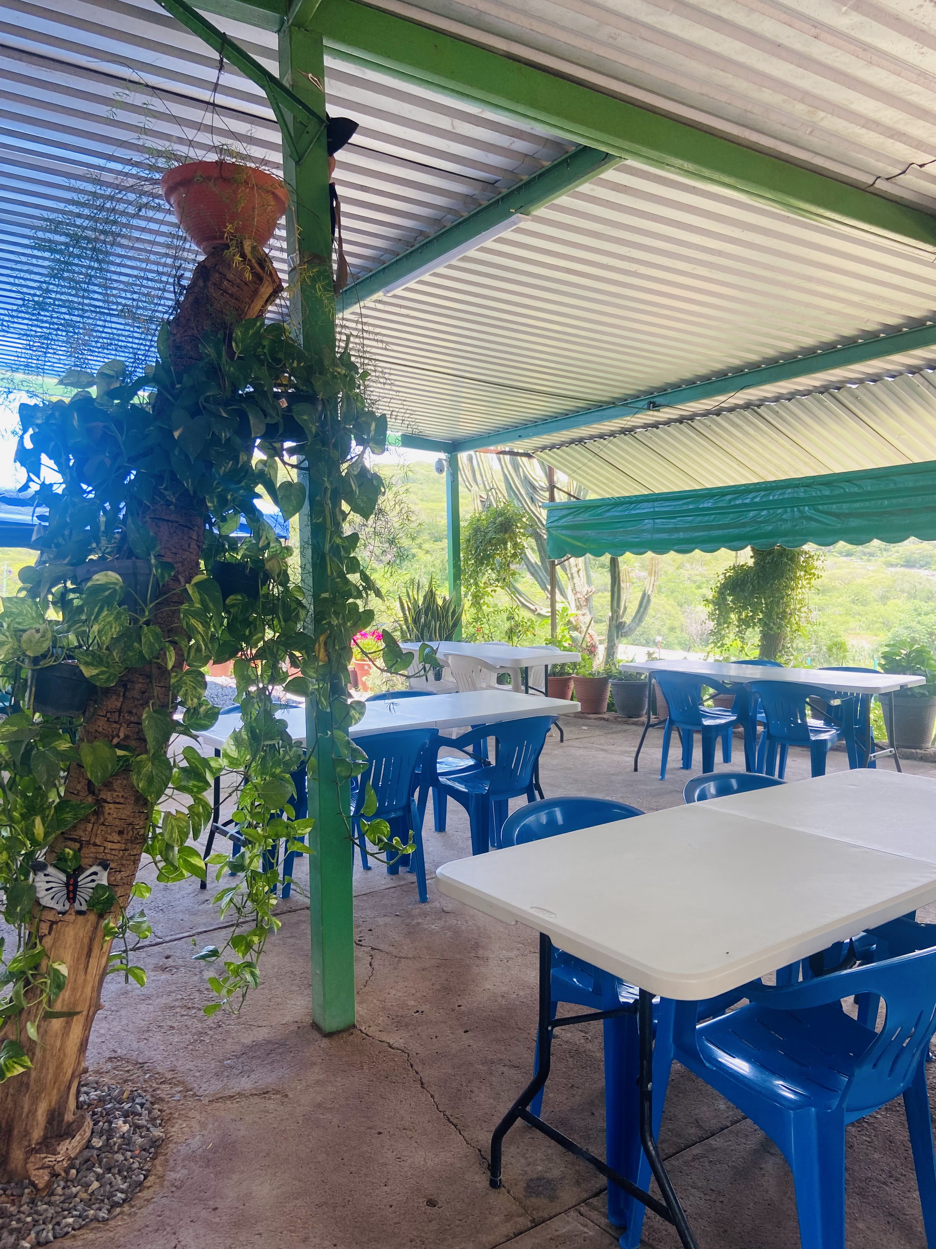 Abarrotes y Botanero 100% Familiar Lepe image 7