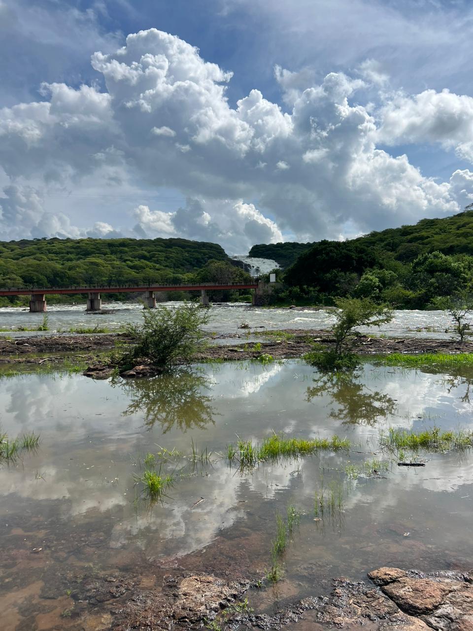 Abarrotes y Botanero 100% Familiar Lepe image 8