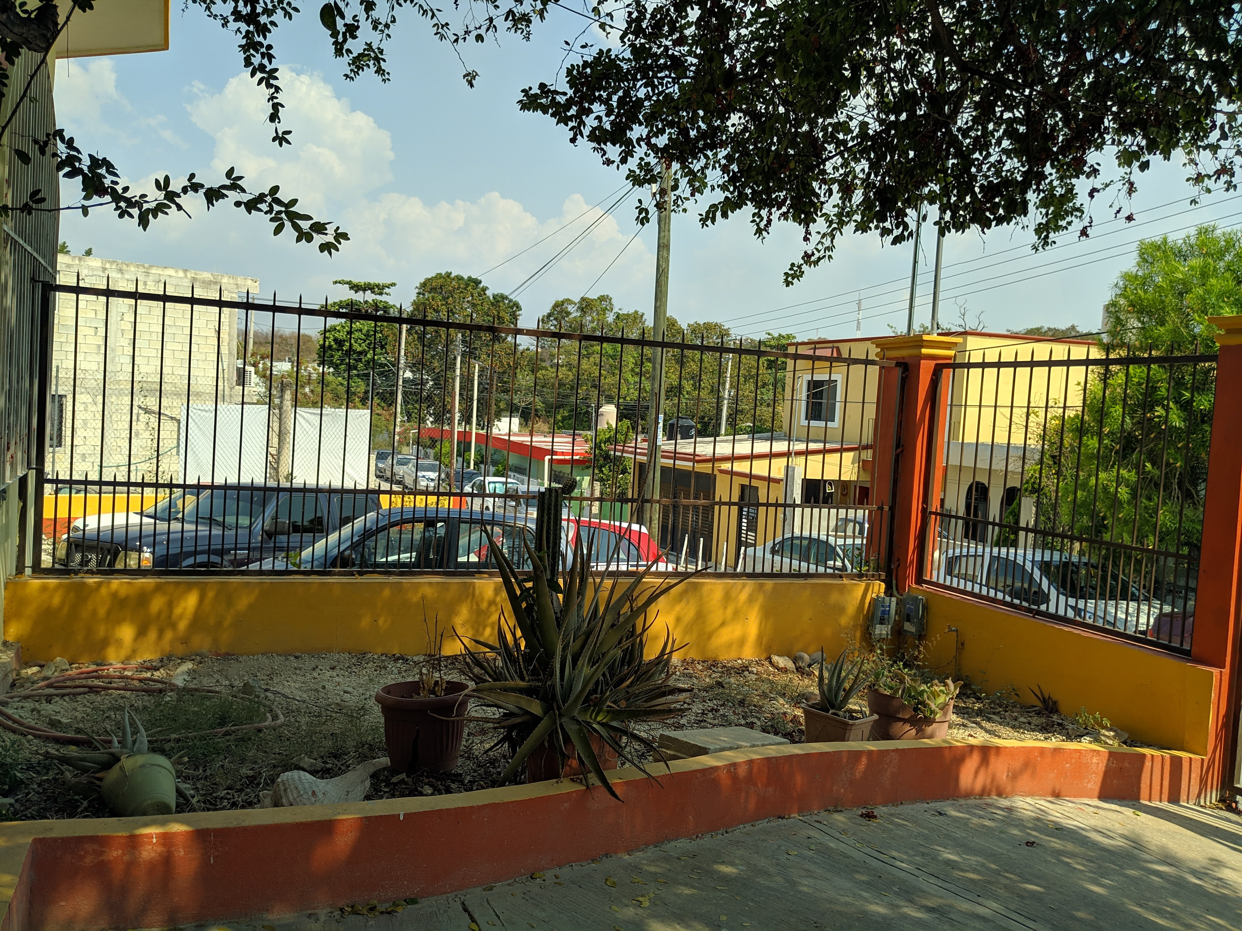 Pescadería "La Chispa" image 8