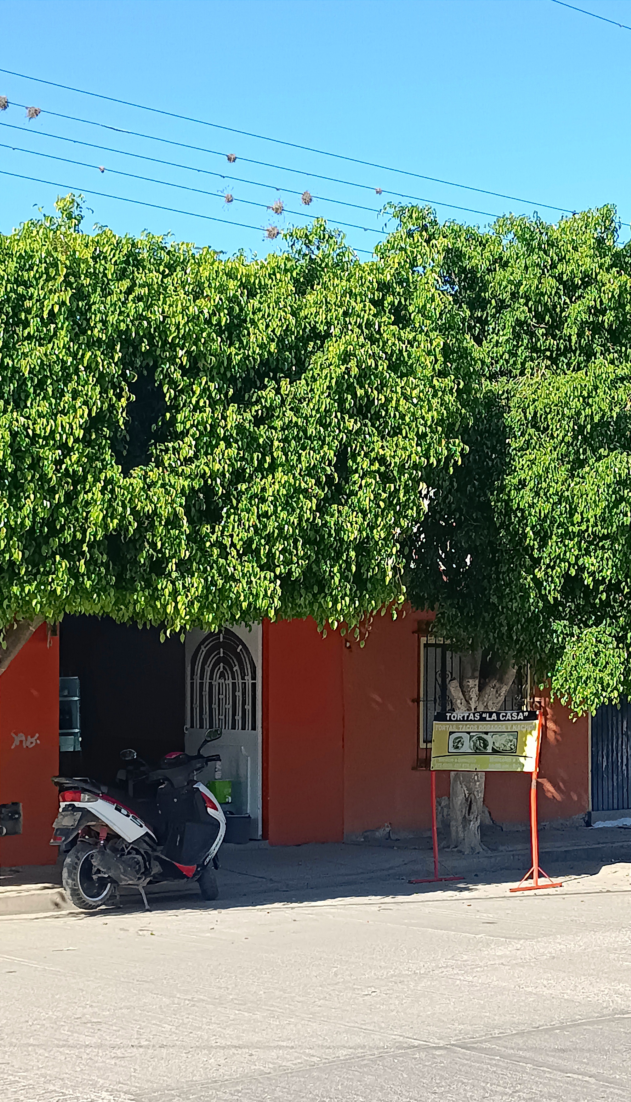 TORTAS LA CASA image 1